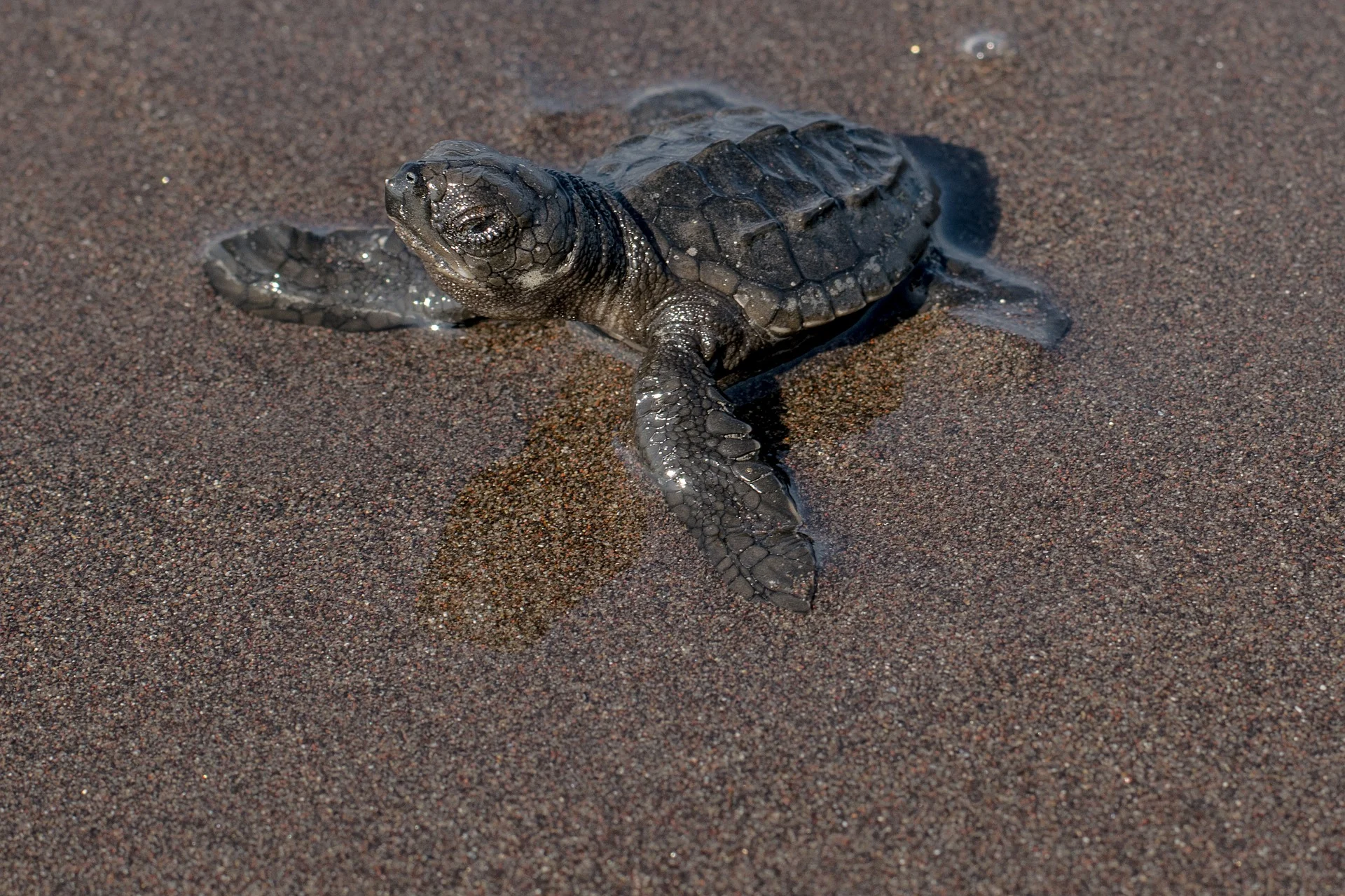 sand-3185431_1920.jpg