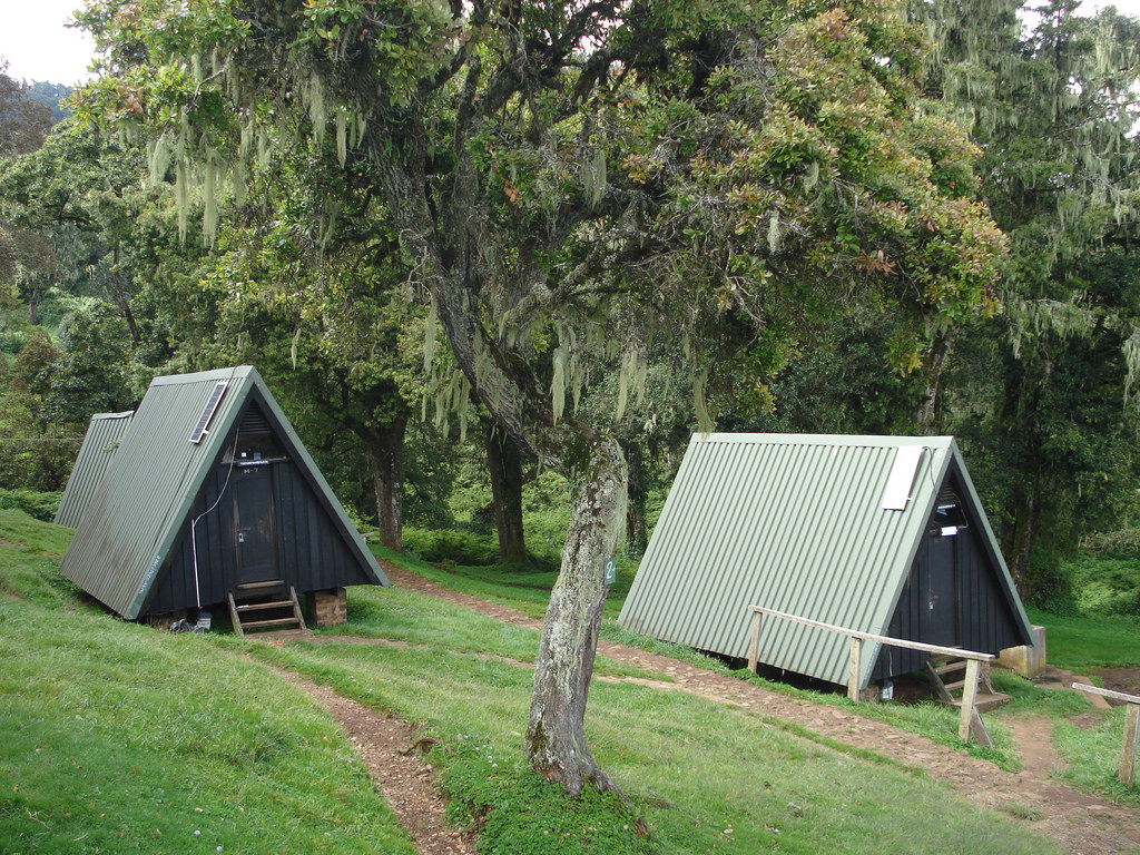 Kilimanjaro Huts.jpg