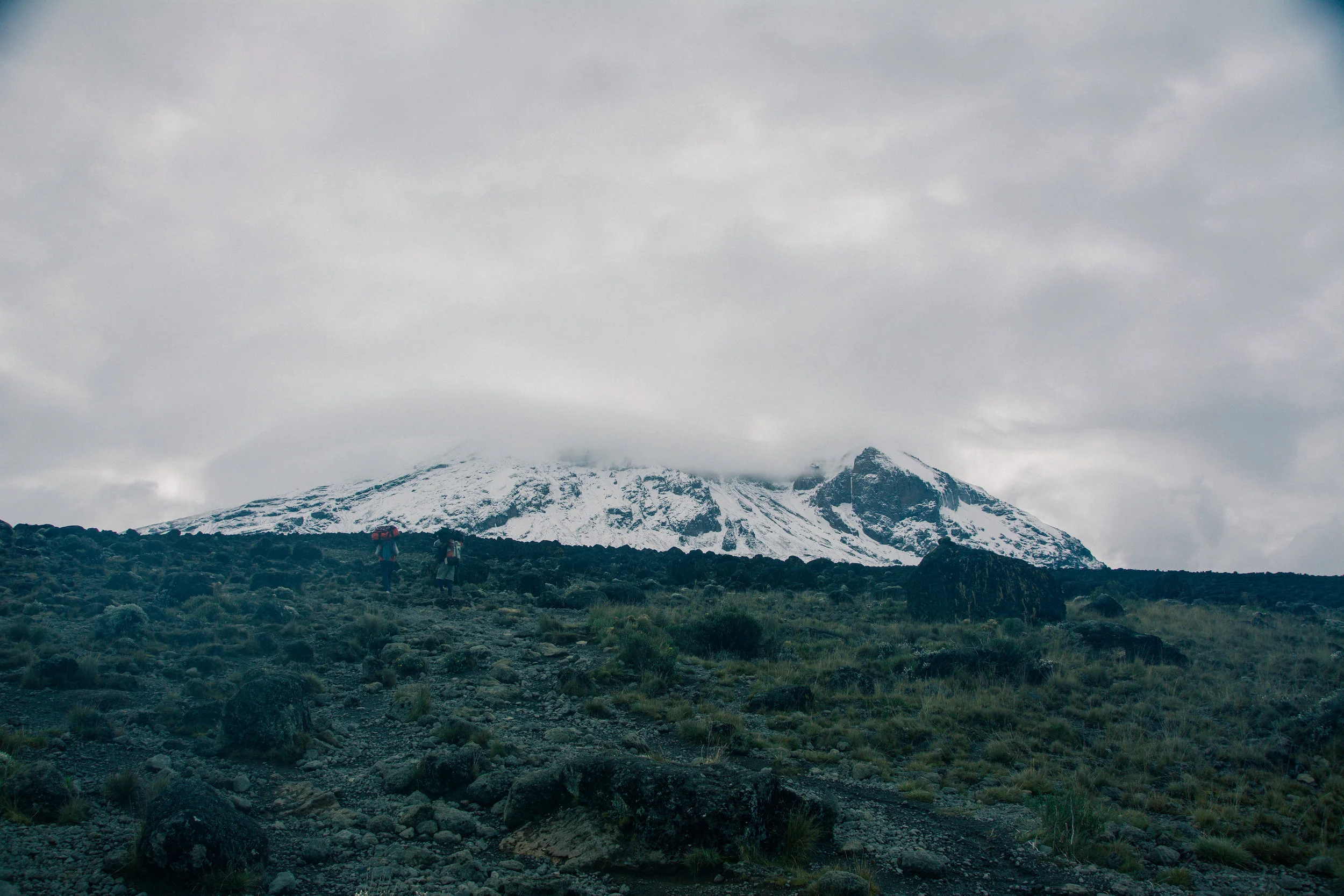 The Best Time to Climb Kilimanjaro