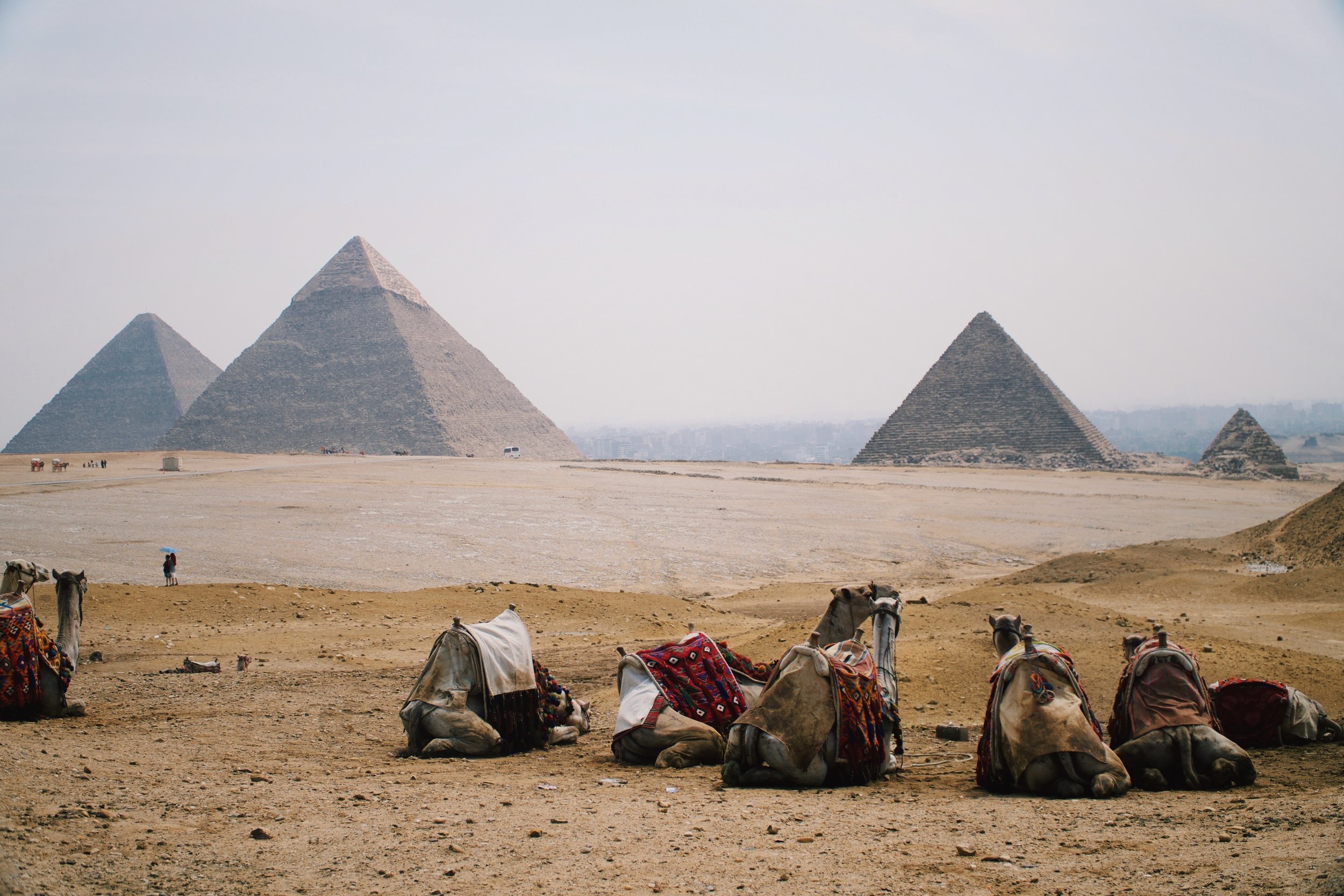 Best Time To Visit Egypt — Acanela Expeditions