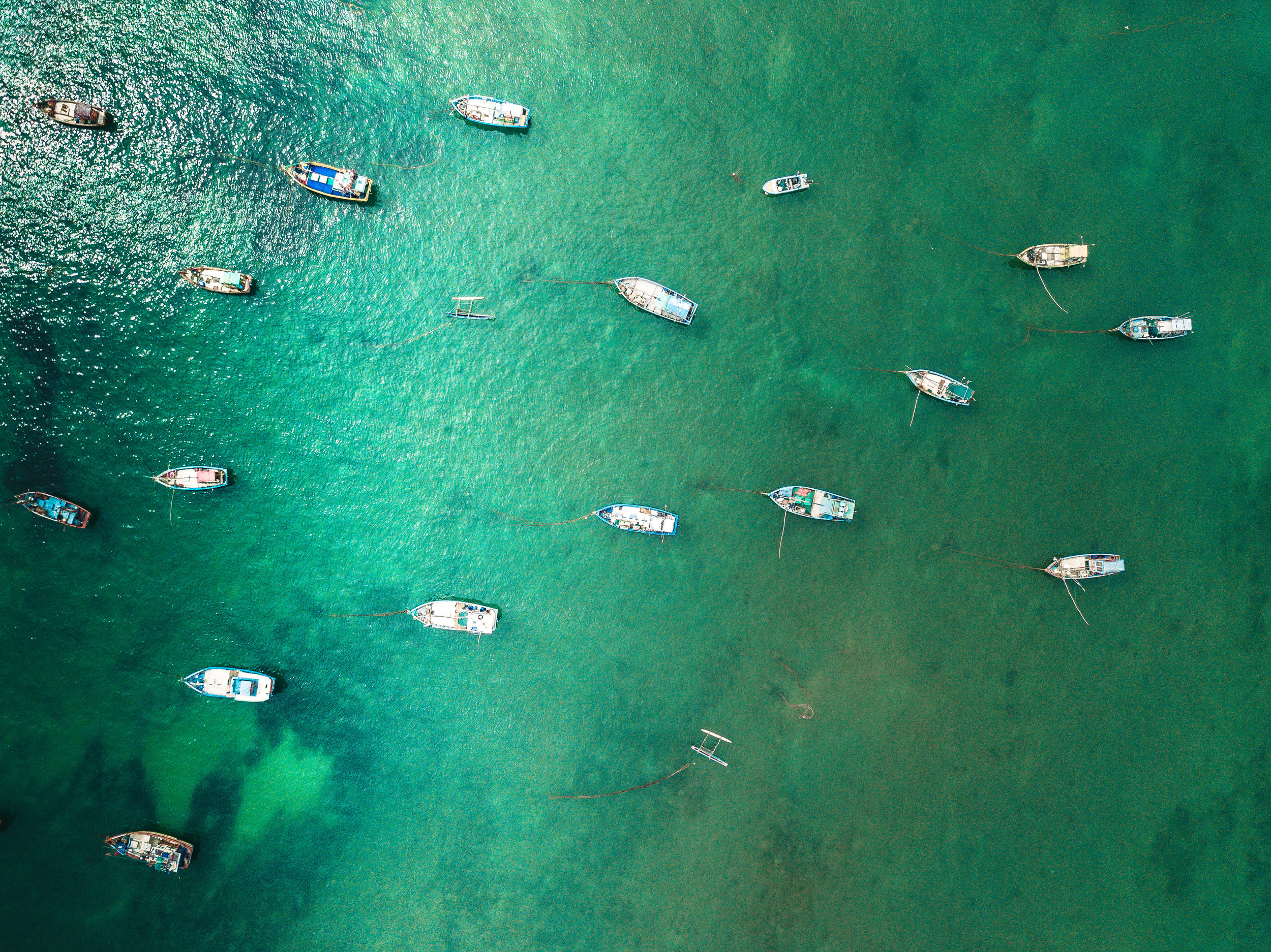 DJI_0010.jpg
