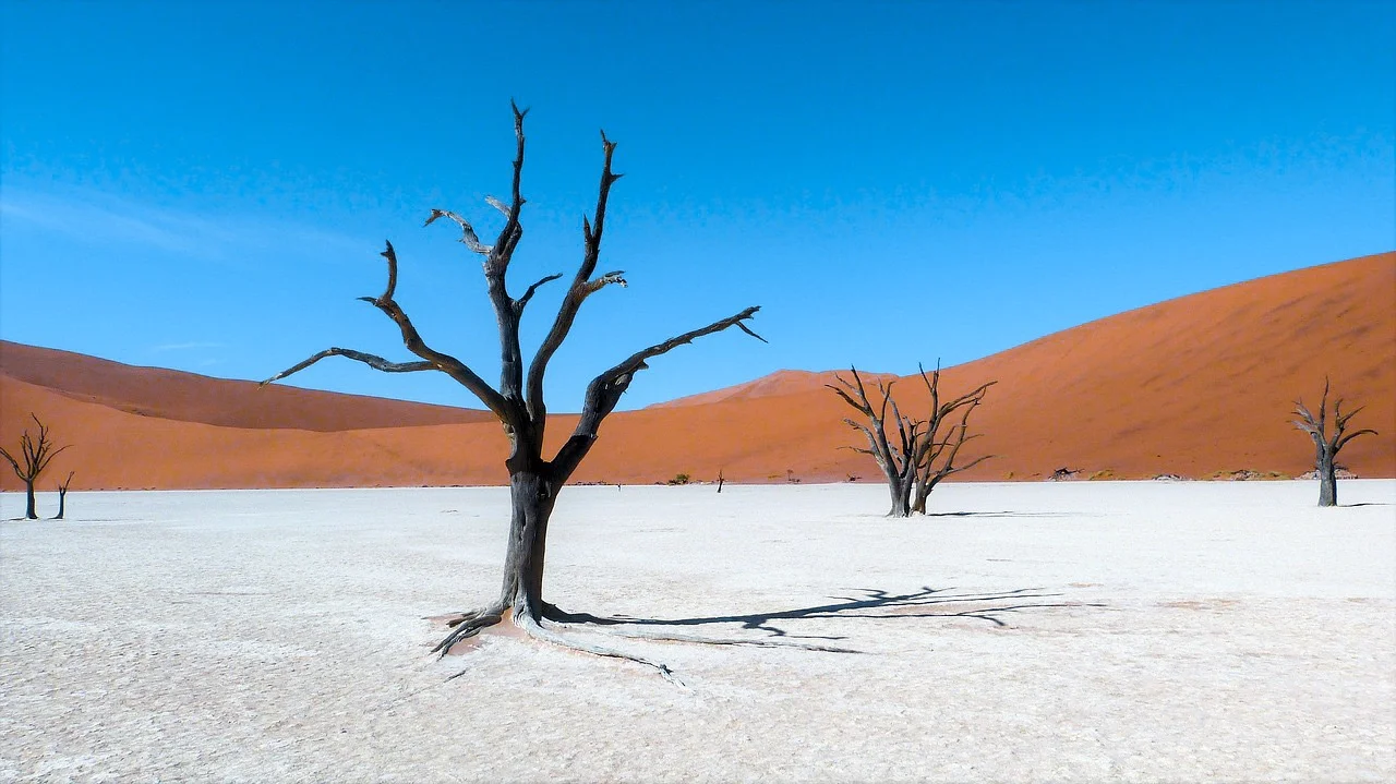 Most Instagrammable Spots in Namibia