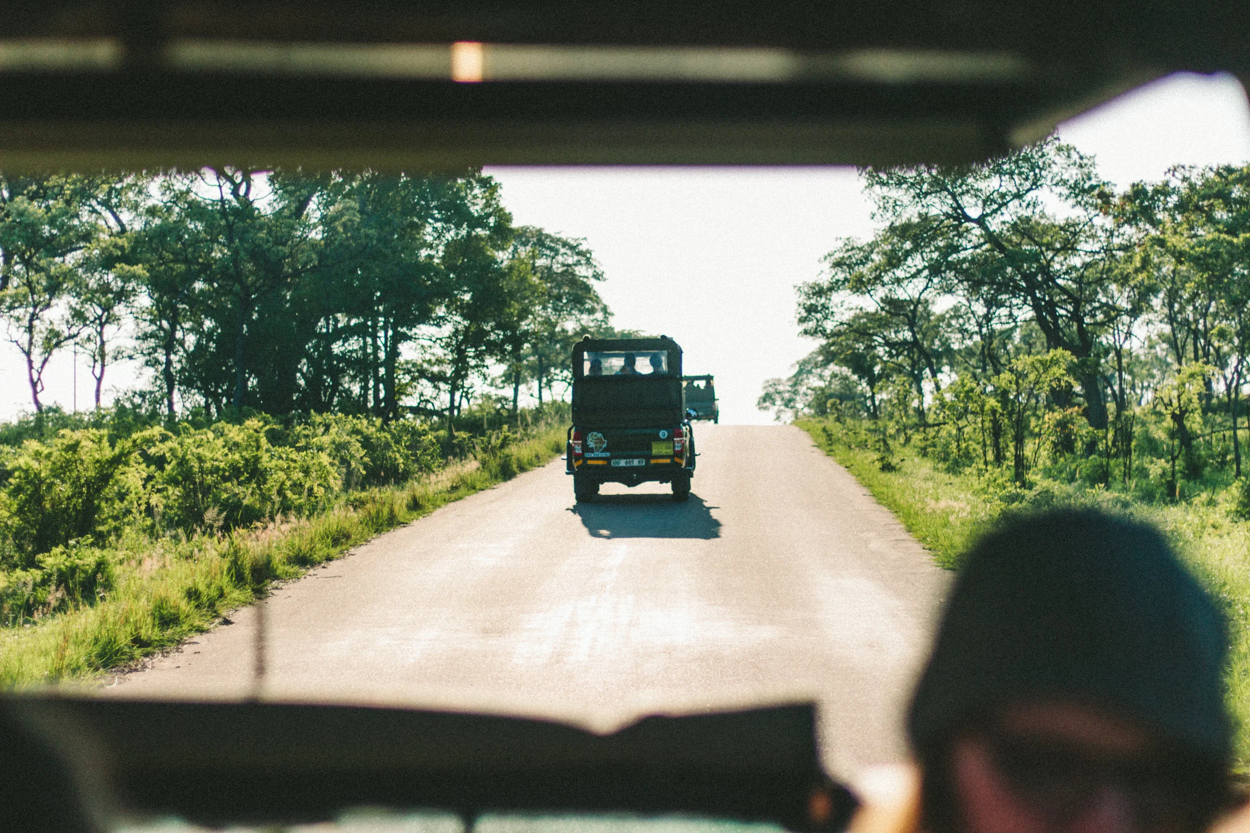 What to Expect From a Namibian Safari