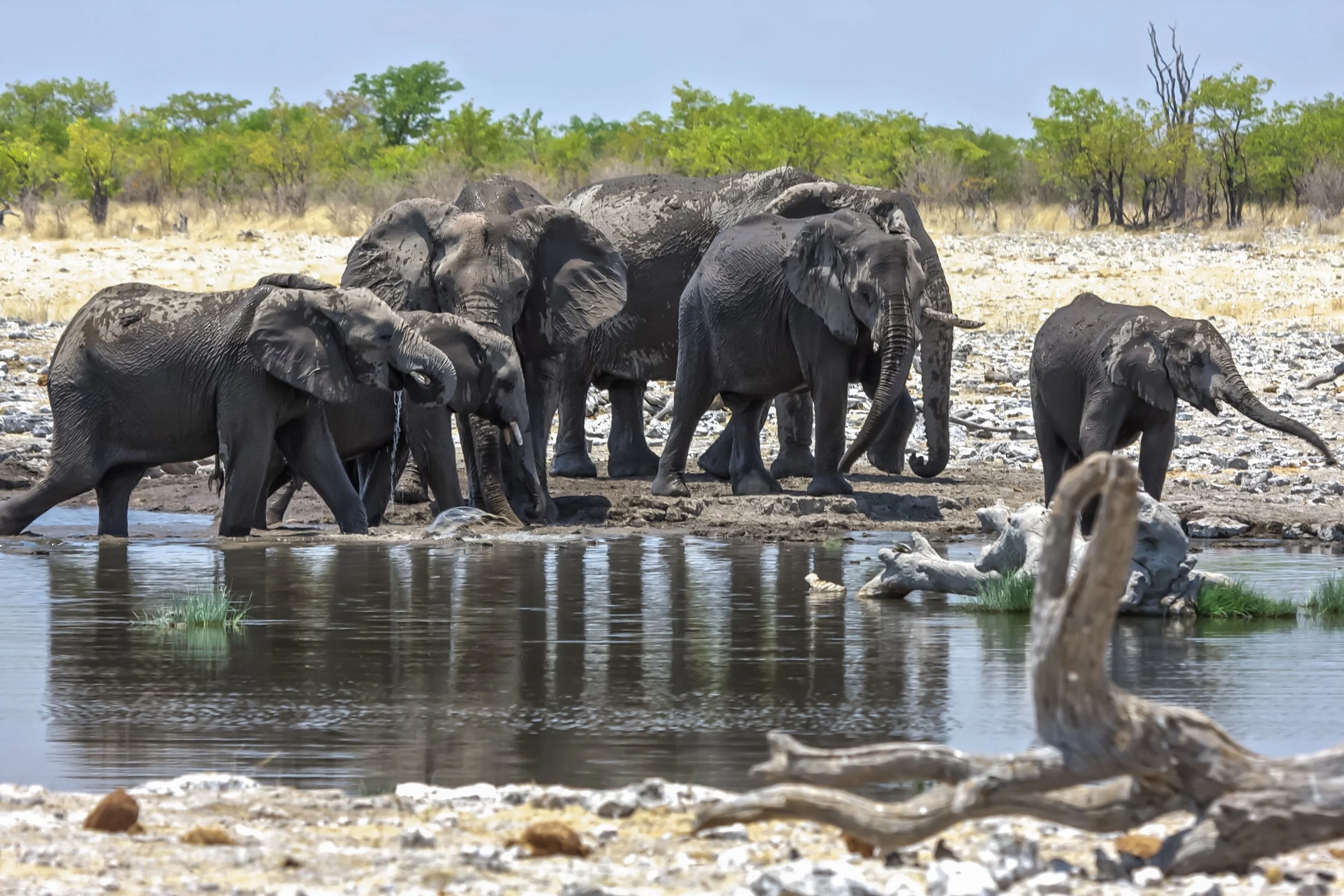 The Best Things to do in Namibia