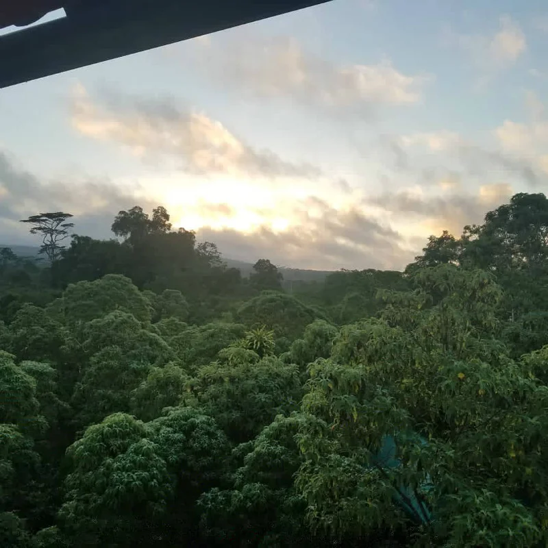 traveler-review-galapagos-trip-dawn-clouds.jpg