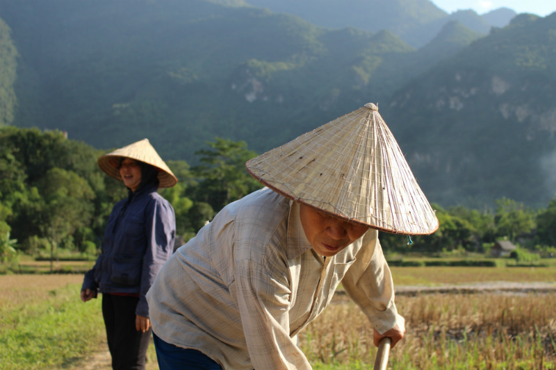 vietnam-cultural-adventure-straw-hats.jpg