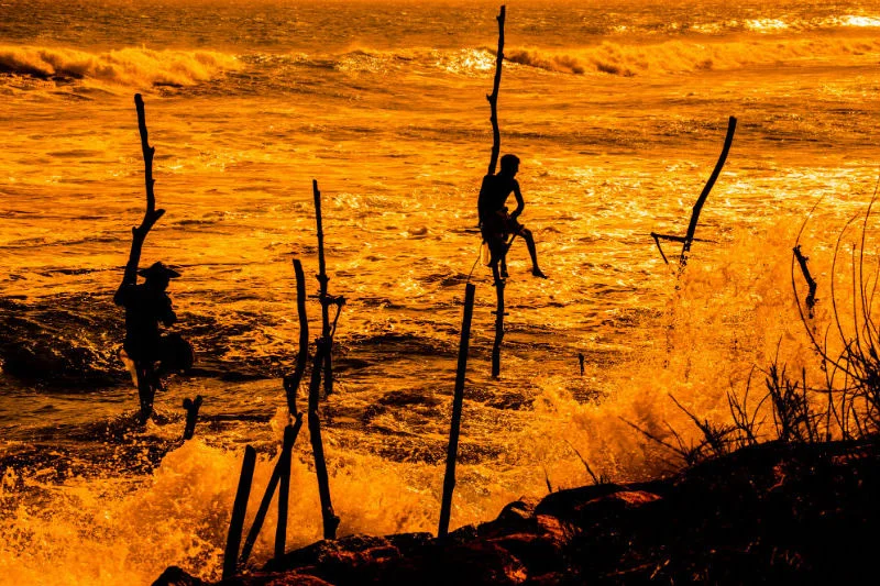 artisans-sri-lanka-stilt-fishing.jpg