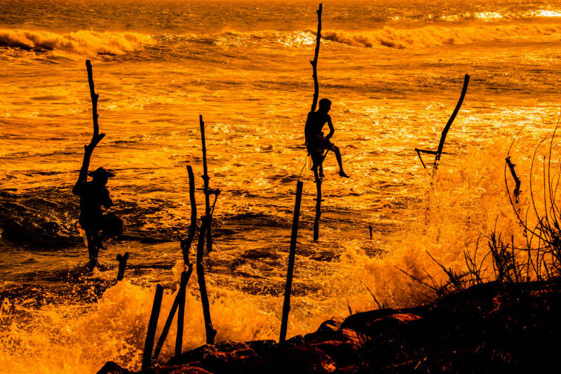 sri-lanka-expedition-stilt-fishing.jpg