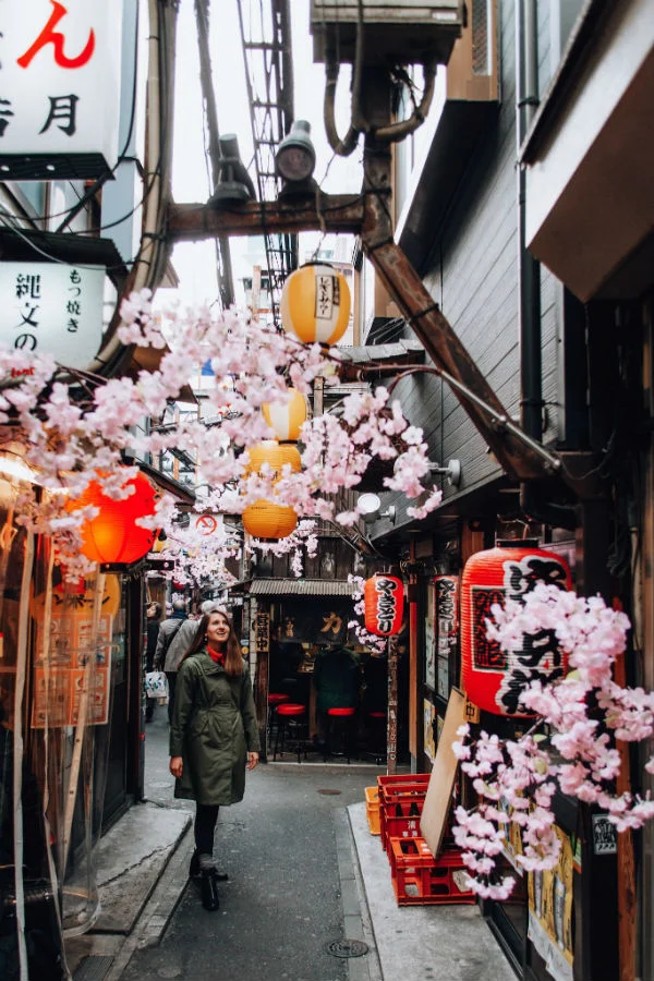 things-to-do-tokyo-memory-lane.jpg