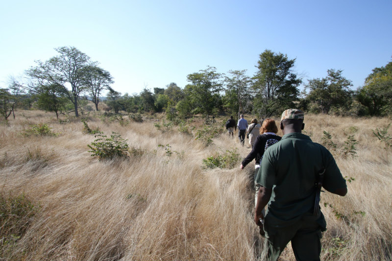 botswana-wetlands-safari-trekking.jpg