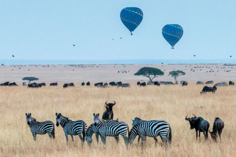 kenya-wildlife-safari-hot-air-balloons.jpg