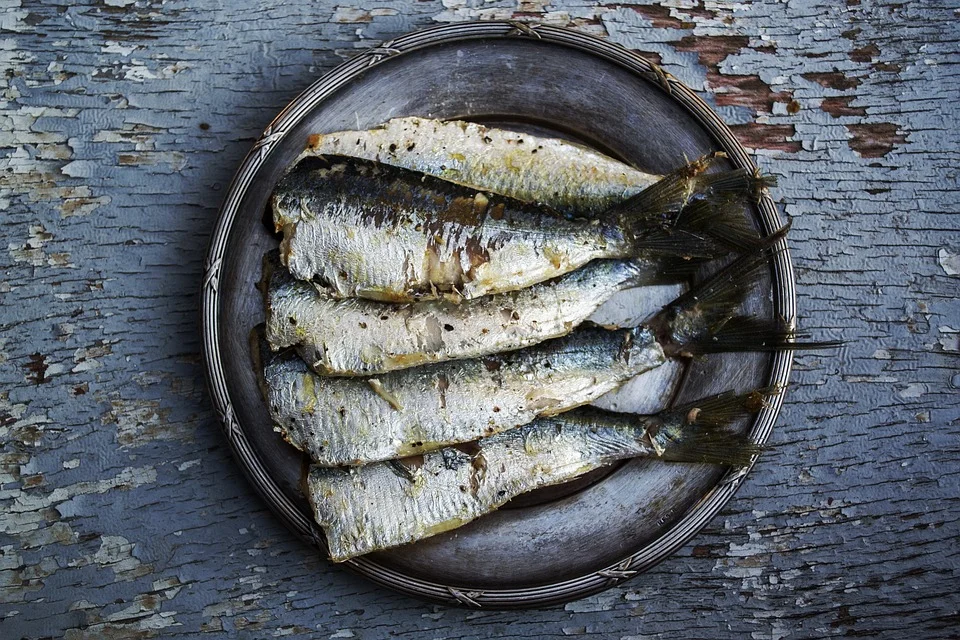 sardines-1489630_960_720.jpg