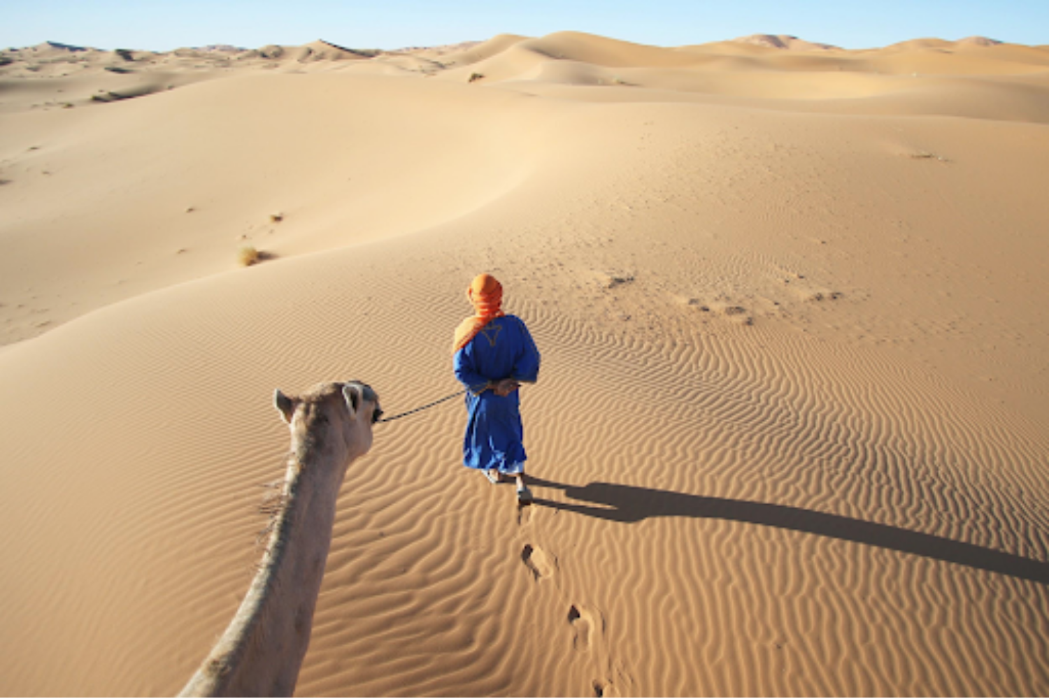 Positravelty Morocco Workshop Cover.png