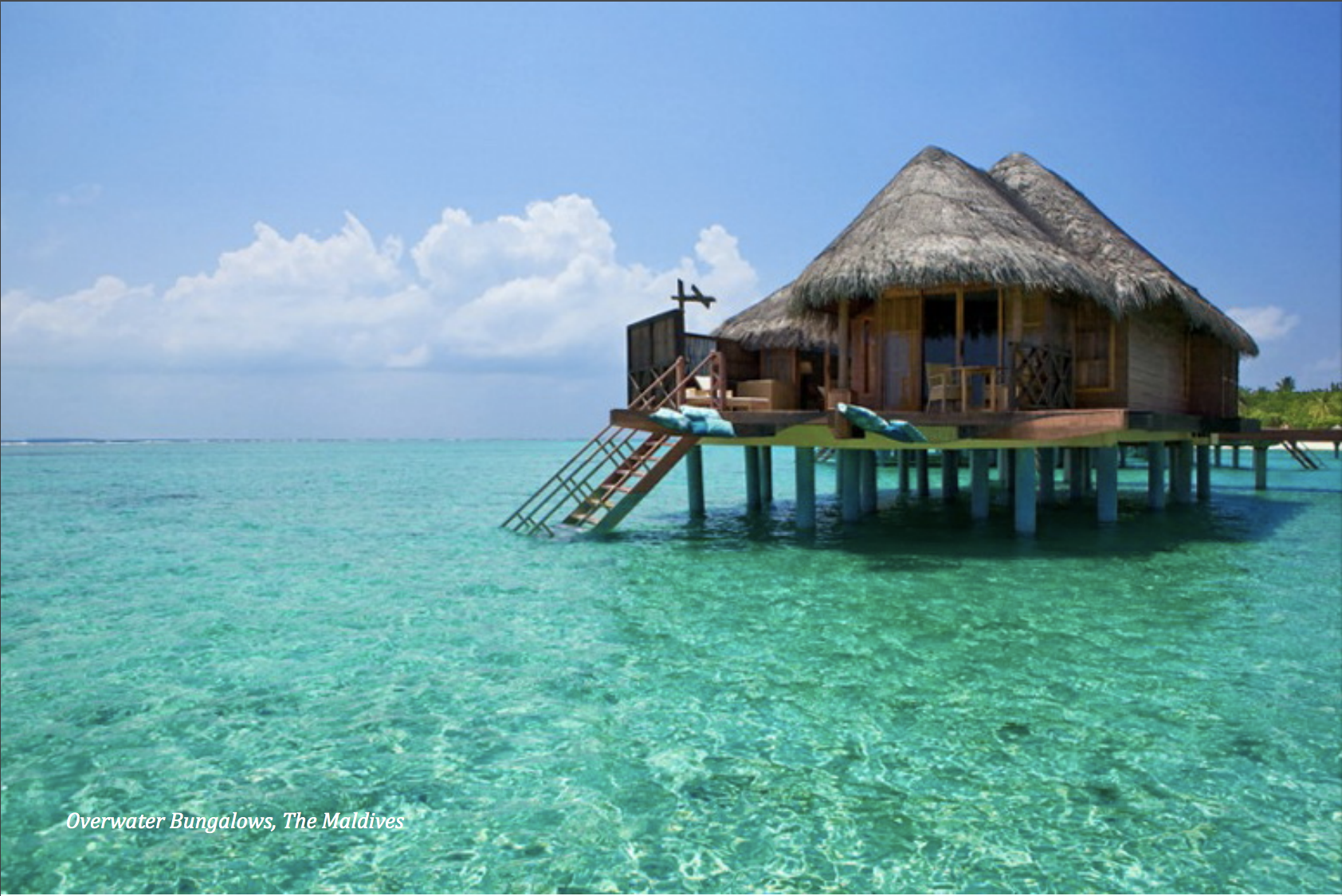  Stay in beautiful overwater bungalows and scuba dive through rich history in the Maldives   Swim with neon fish, turtles, dolphins, and even sharks, if you dare…   Adventure on extreme water sports such as parasailing, wakeboarding, and kayaking   R