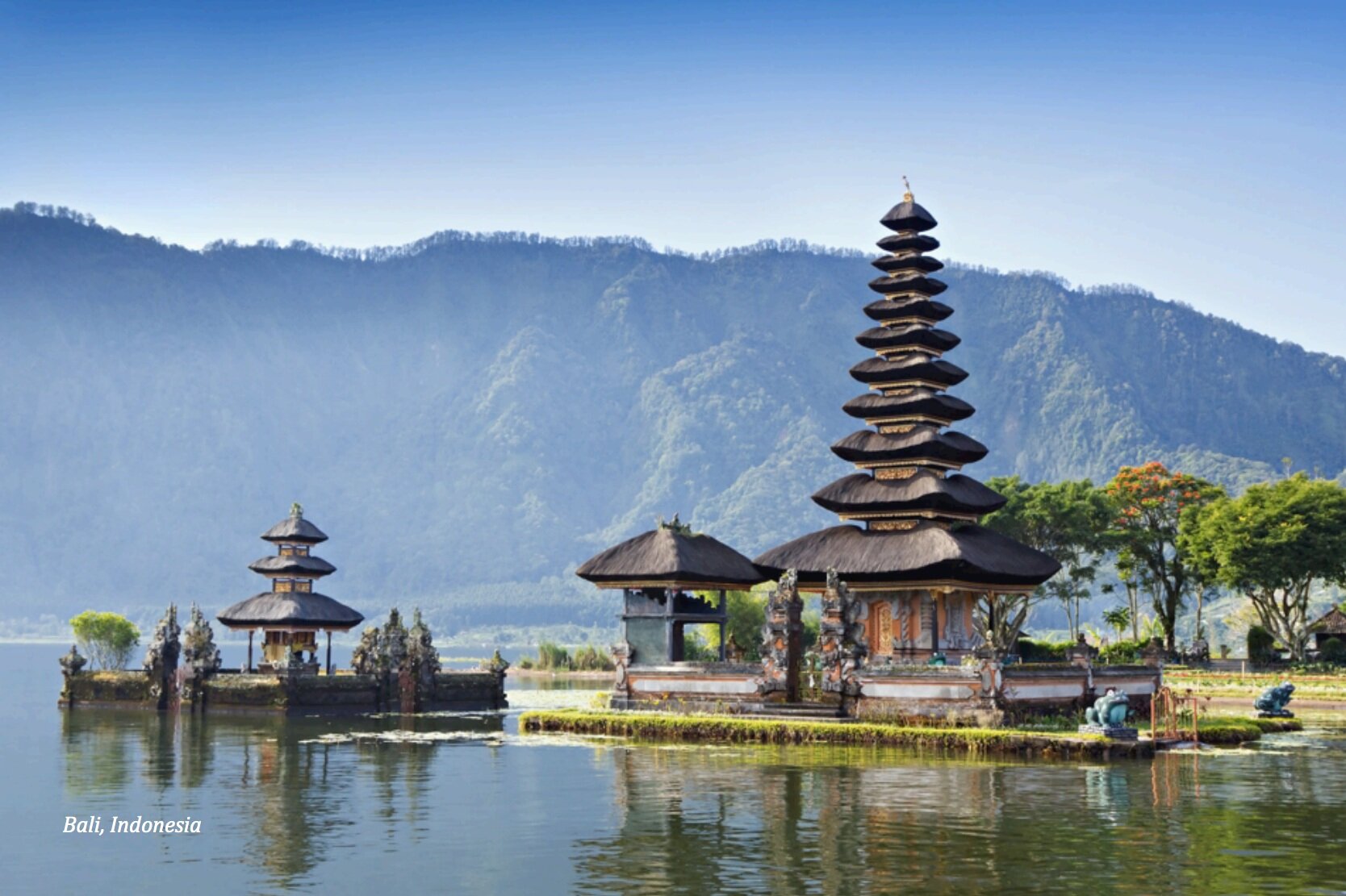 Go surfing on some of the best waves in Kuta Beach Ride elephants in Bali at the Elephant Safari park Visit various temples with panoramic views of the ocean Take it easy and relax at the spa for the day Hike to one of Bali’s famous volcanoes and enjoy the sunrise Dine on fine Asian cuisine made by local chefs