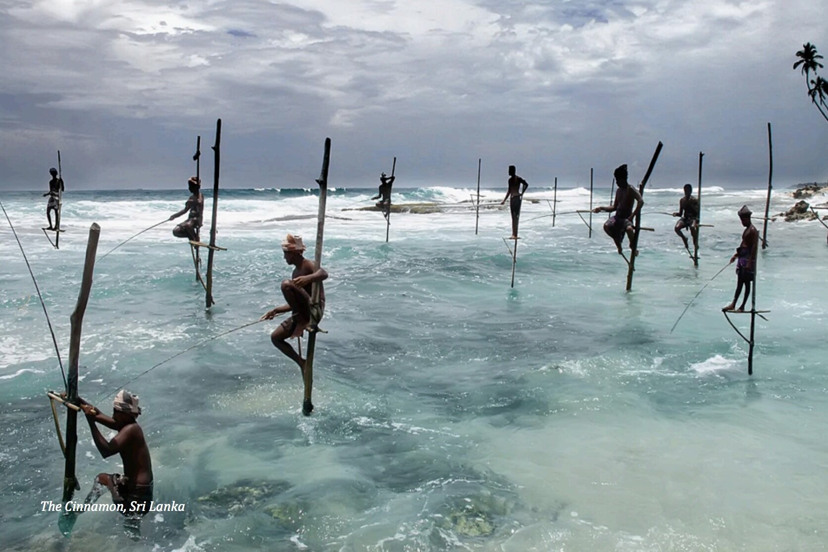  Snorkel and Dive in what is considered to be the “Pearl” of the India Ocean, just minutes from your hotel at The Cinnamon.   Embark on a wildlife safari to see the unique species of elephants, leopards, and monkeys that inhabit the island  Have an o