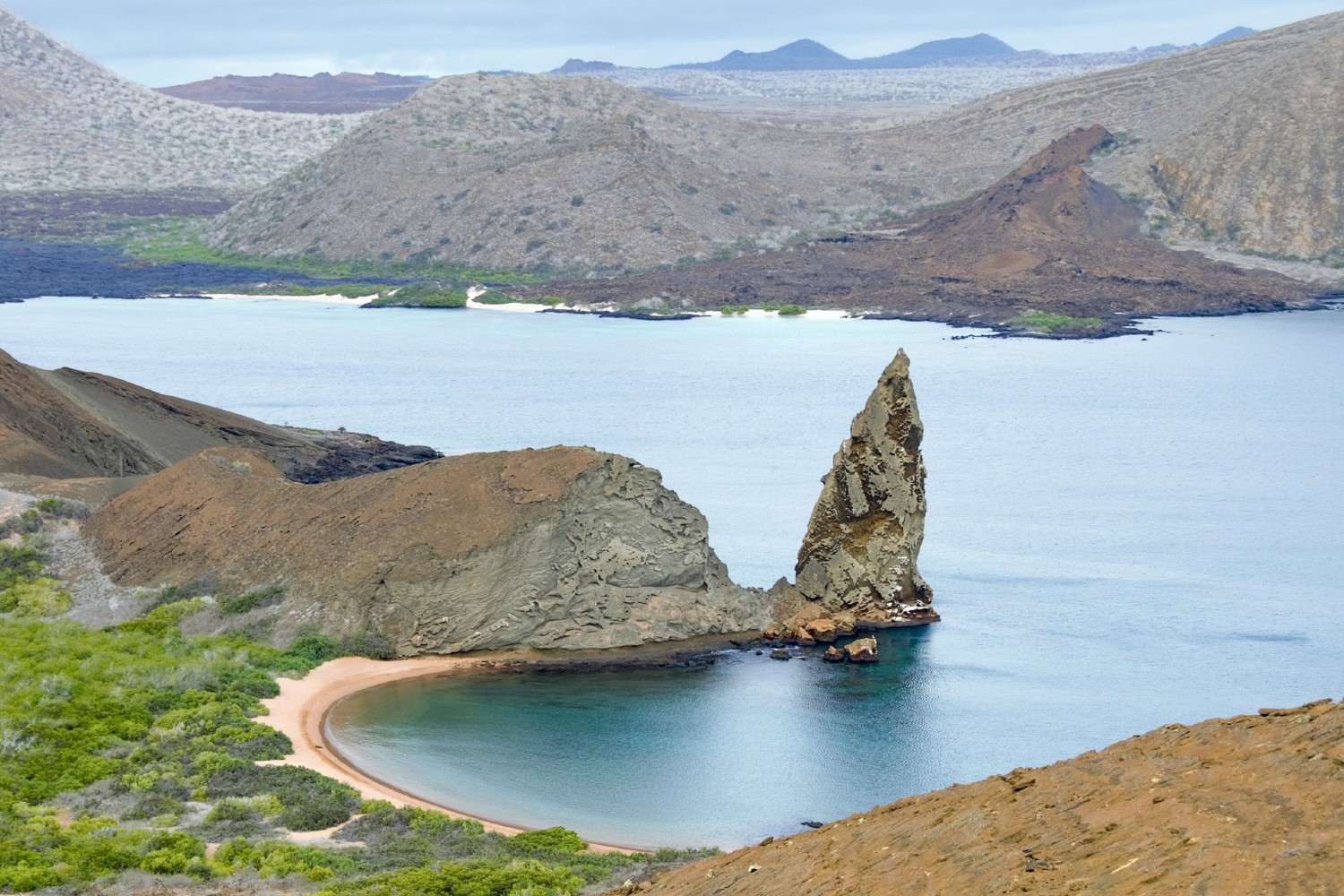 Wildlife in the Galápagos Islands — Acanela Expeditions
