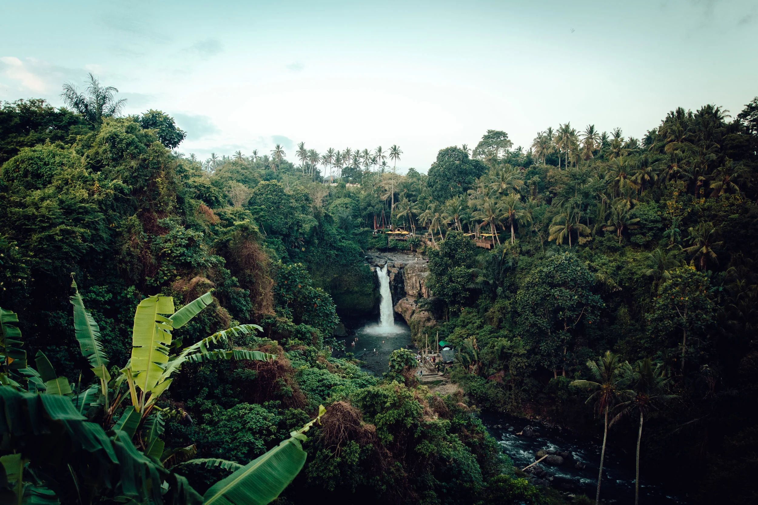 Amazon Rainforest Fire Updates