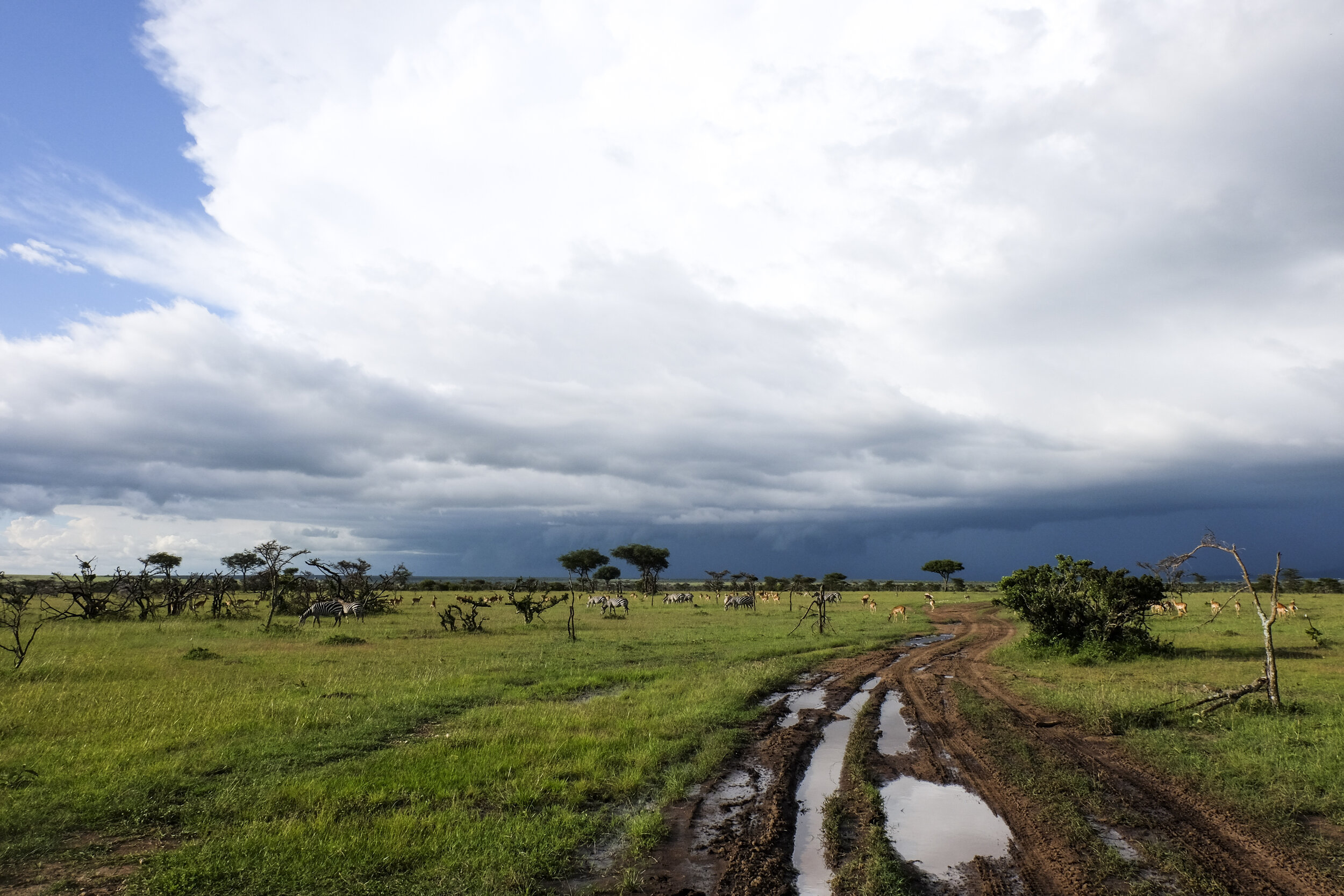 Life of the Maasai Tribe in Kenya — Acanela Expeditions