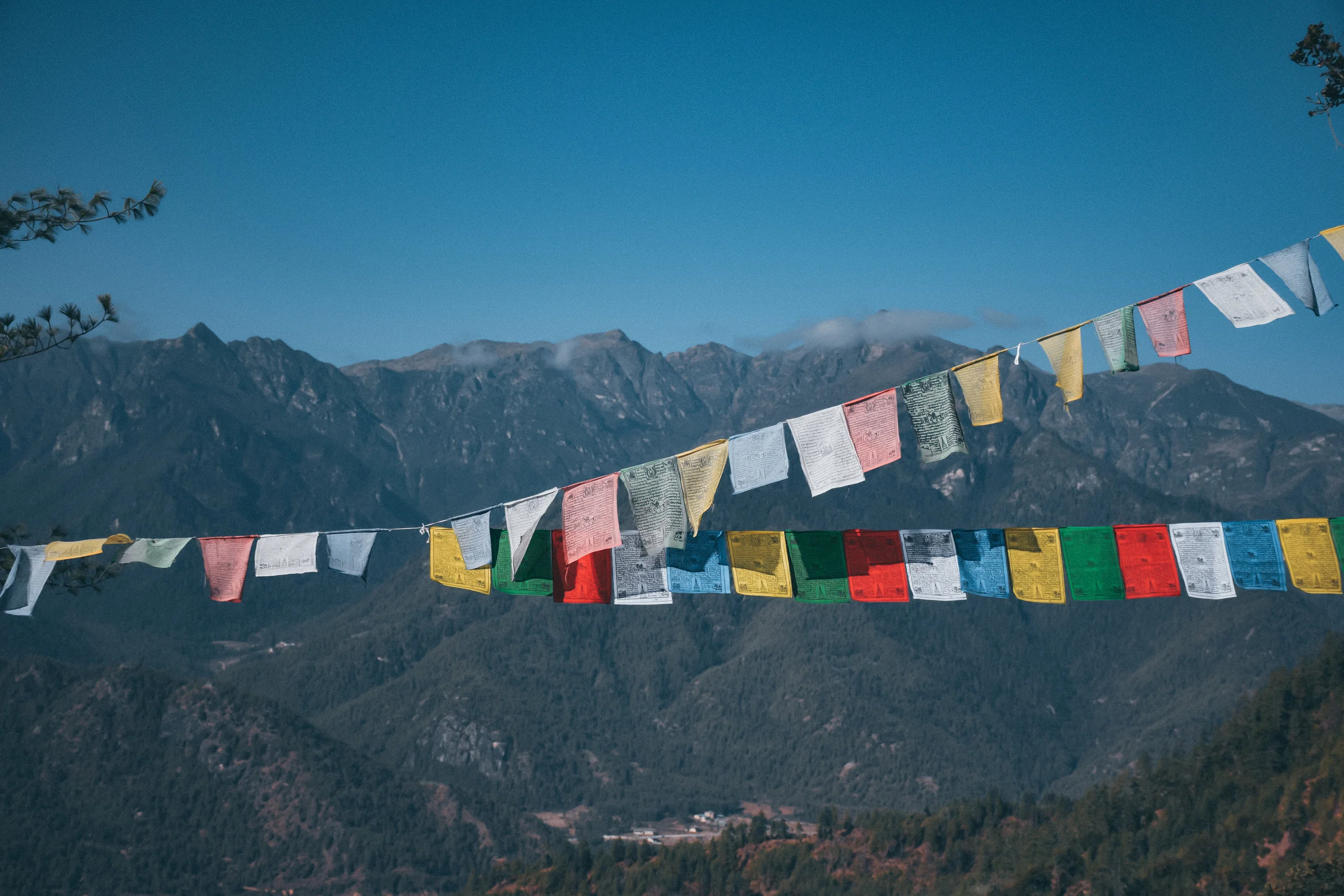 Why Bhutan is a Nature Lover's Dream