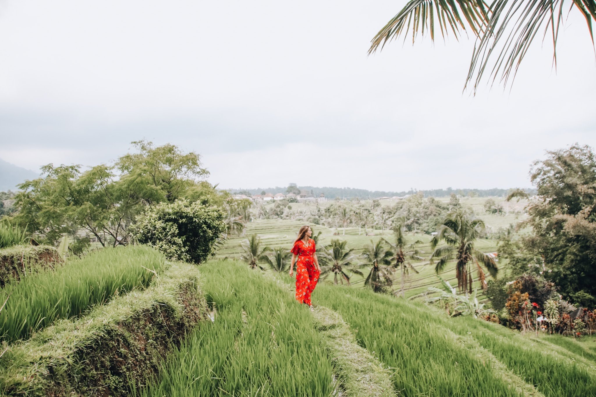 Wanagiri Hidden Hills & the famous Bali Swing! Everything you need to know  about how to get there and must know tips for this popular B… | Bali, Rent  dresses, Swing