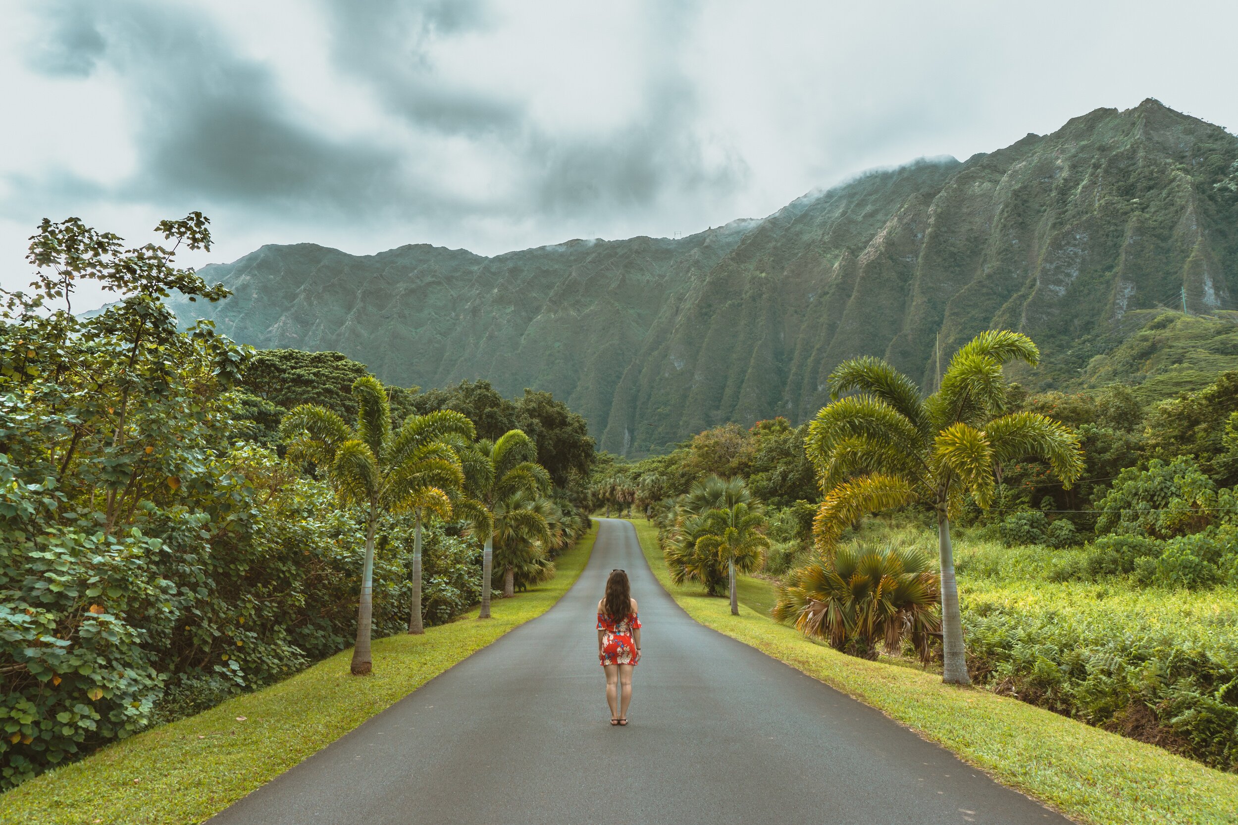 hawaii tours reddit