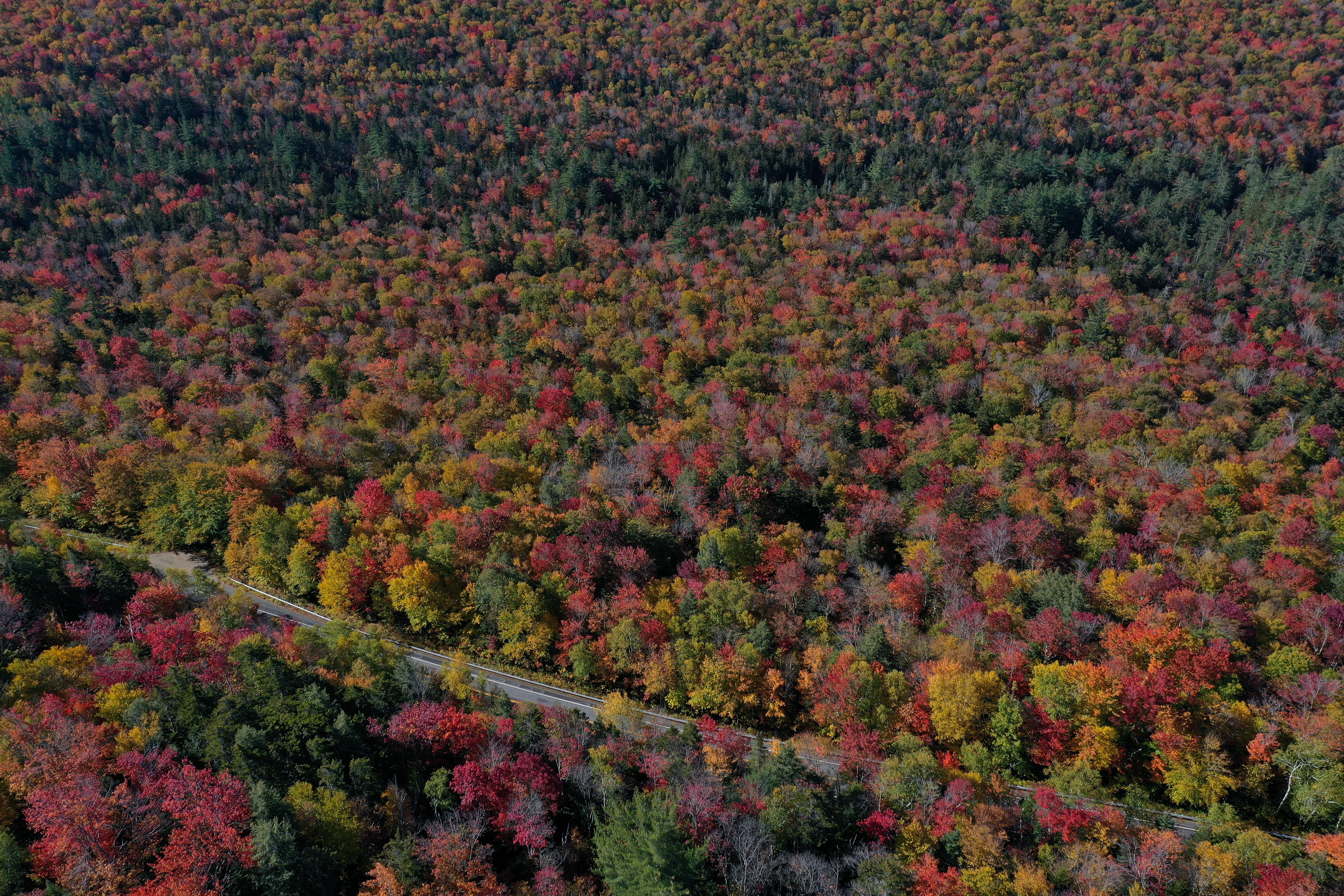 Best Scenic Fall Road Trips