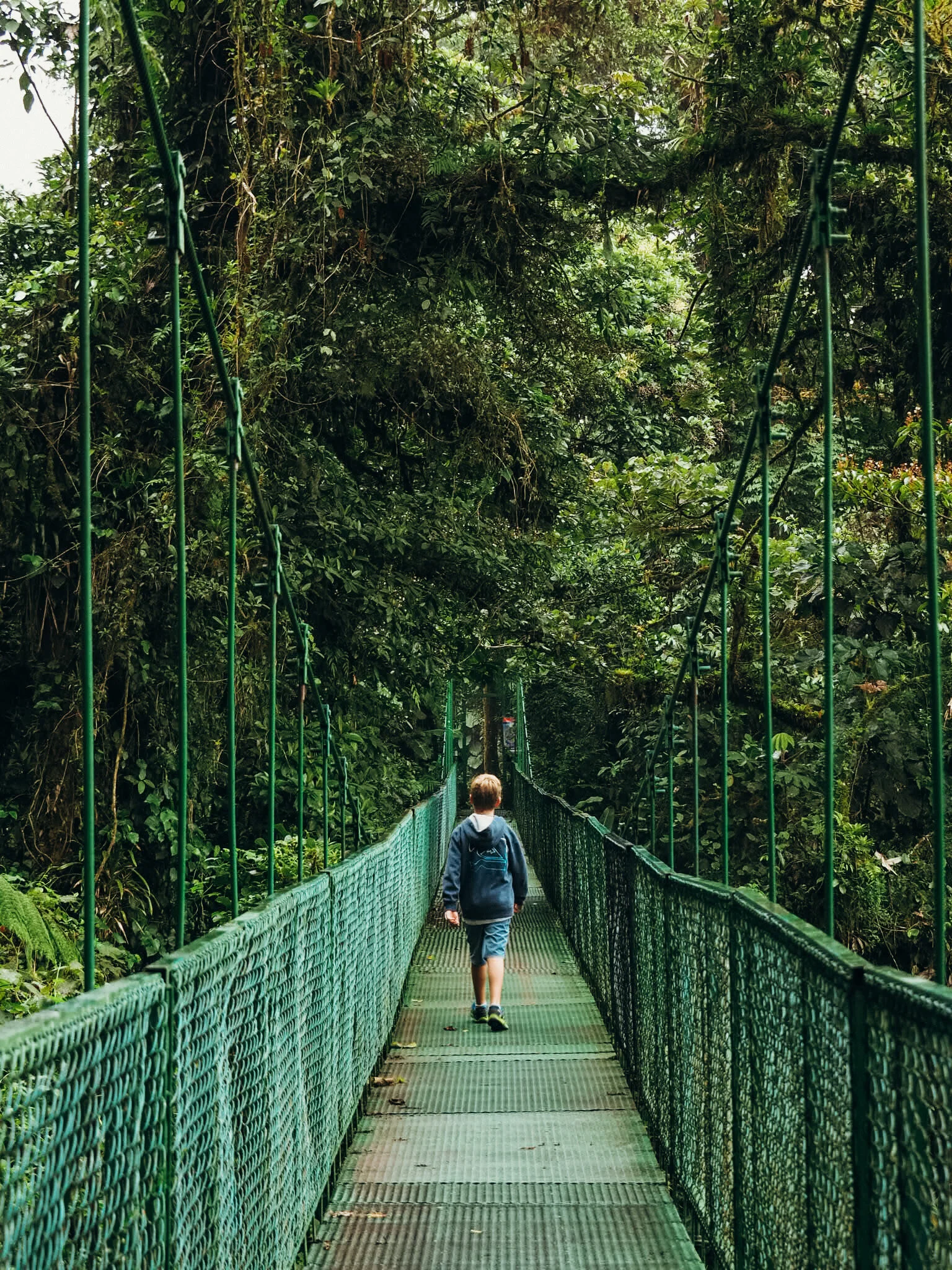 Hanging bridges.JPG