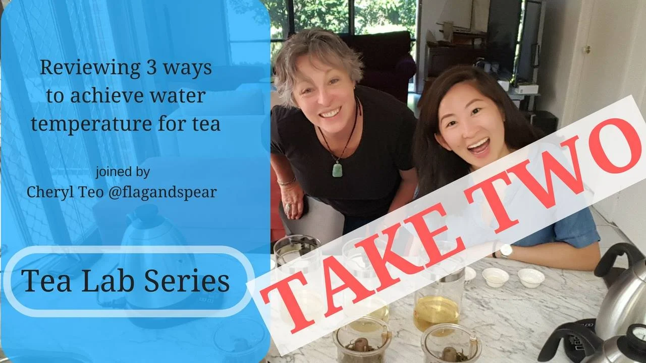 Guest Appearance on Cuppa Cha - Water Temperature Experiment Part 2