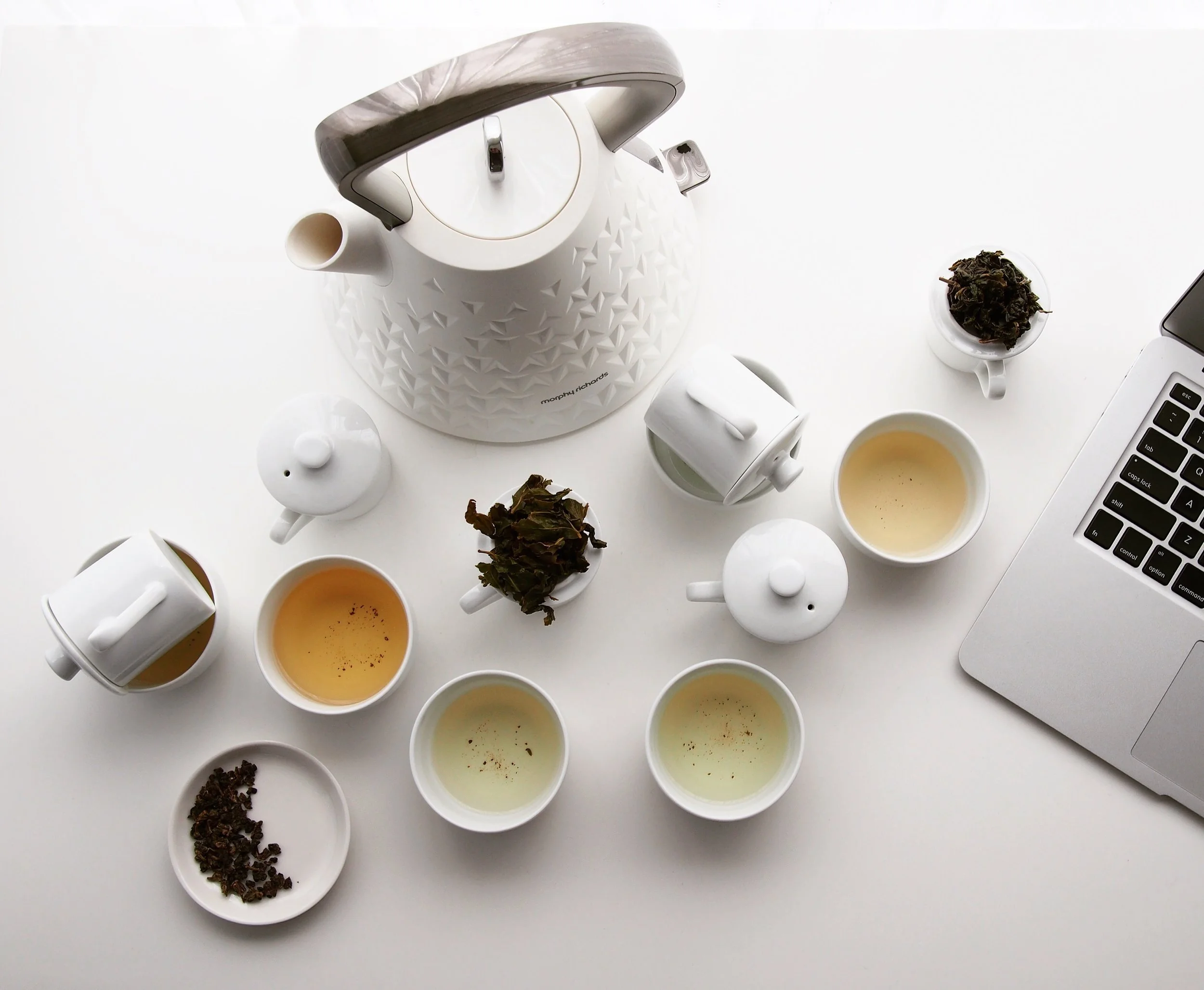 Tea Brewing Boot Camp - BrewIN Melbourne