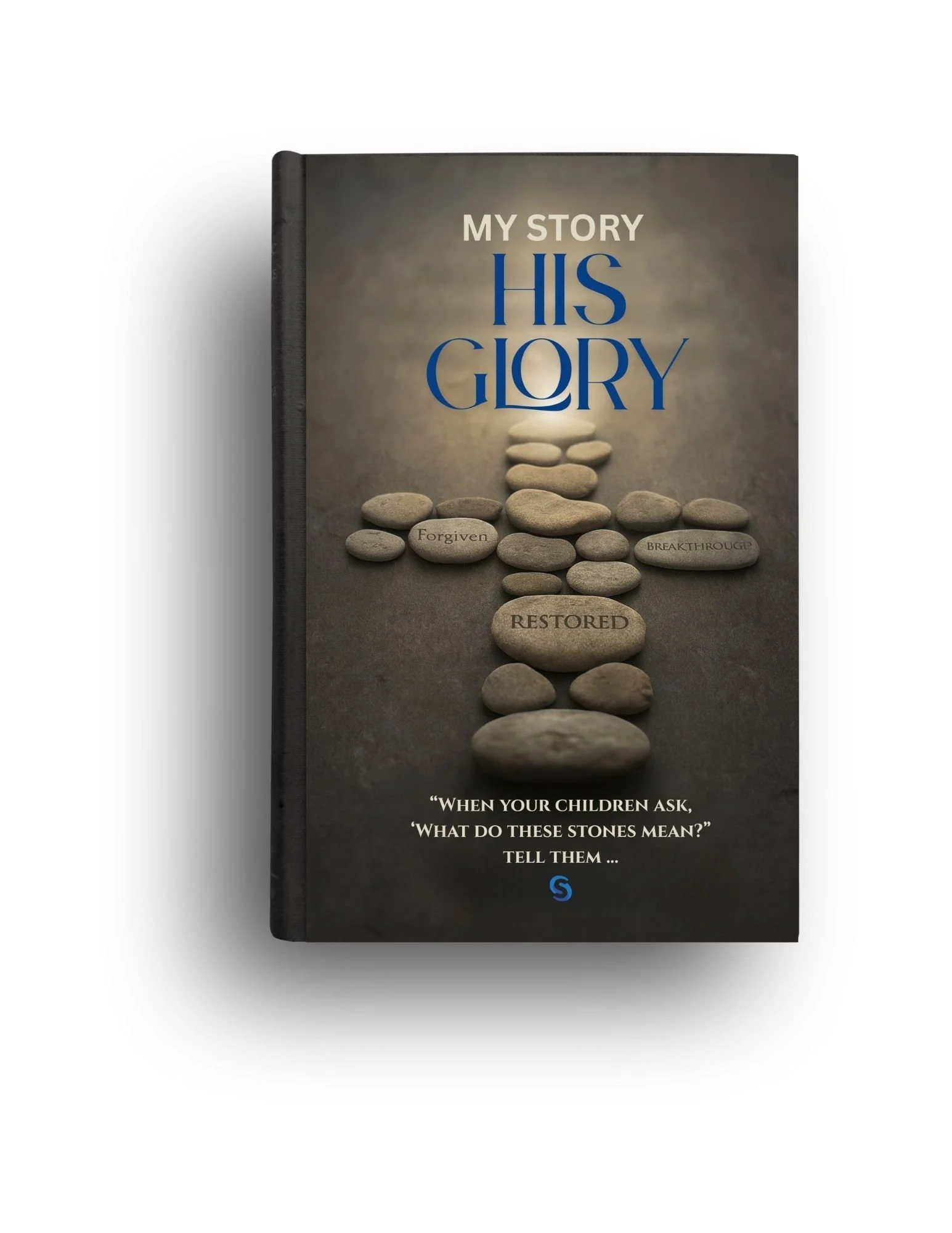 mshg book cvr final.jpg