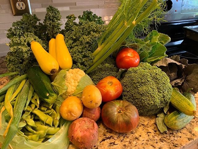 Today&rsquo;s #csa bounty!
&bull;
#eattherainbow #realfoodiek #realfoodiekids #supportlocal #supportlocalfarms #supportlocalfarmers