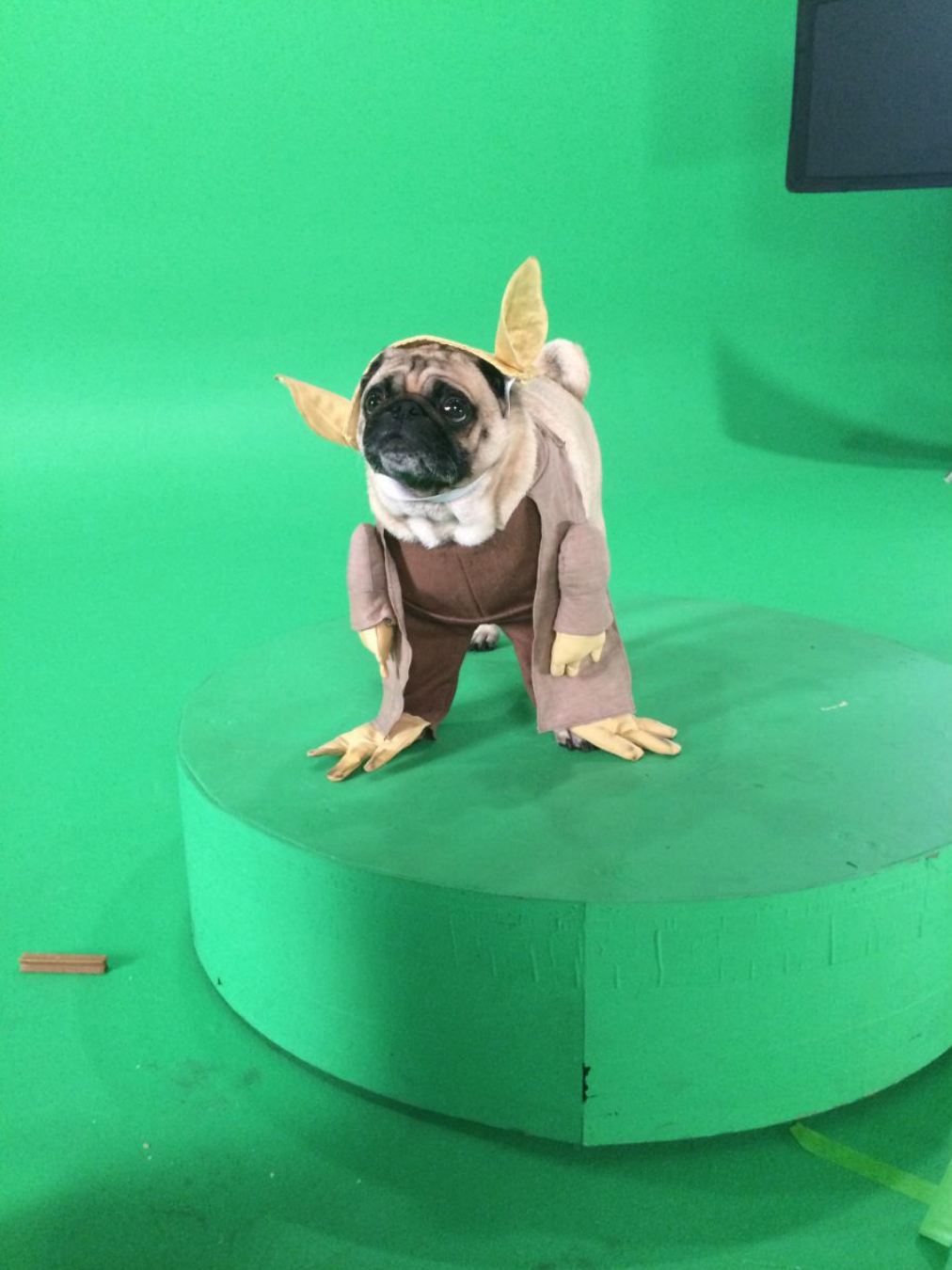 Screen Shot 2015-10-12 at 10.19.13 PM.png