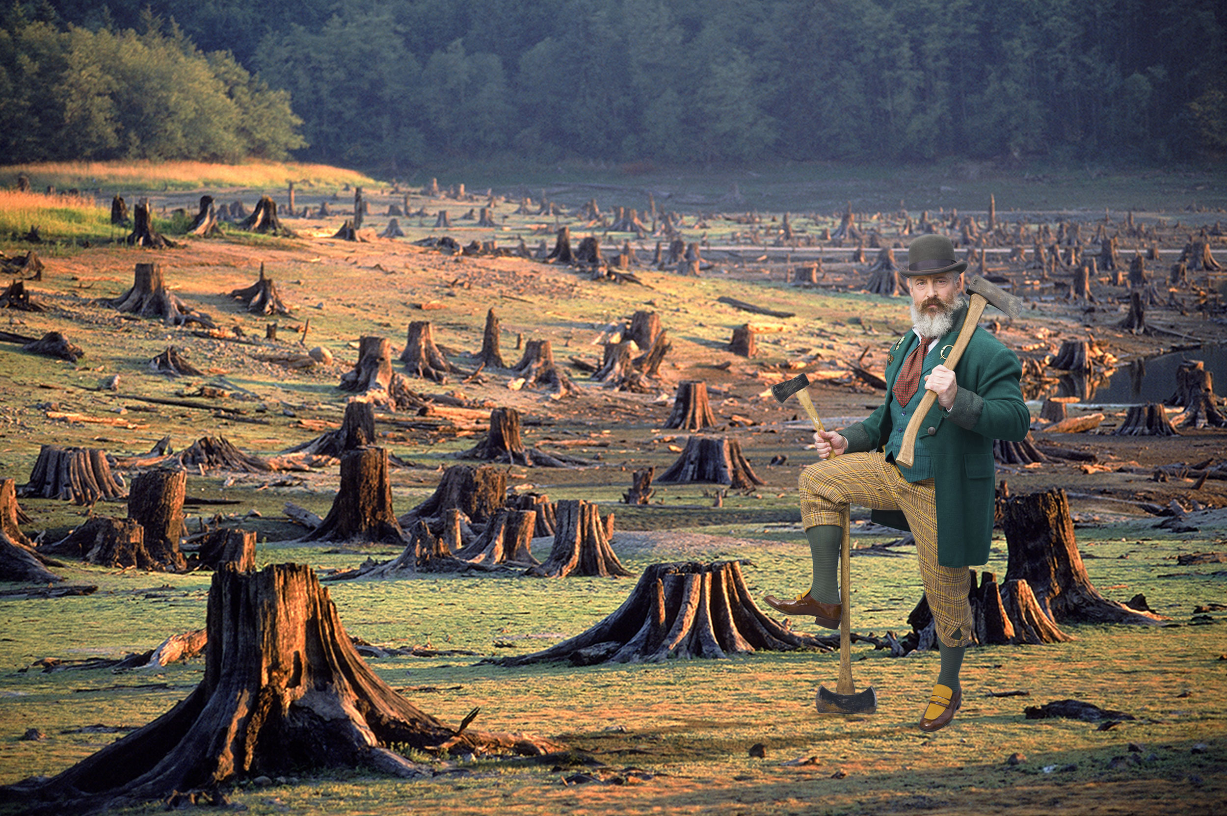 AssemblingChoppedWood2_300.jpg