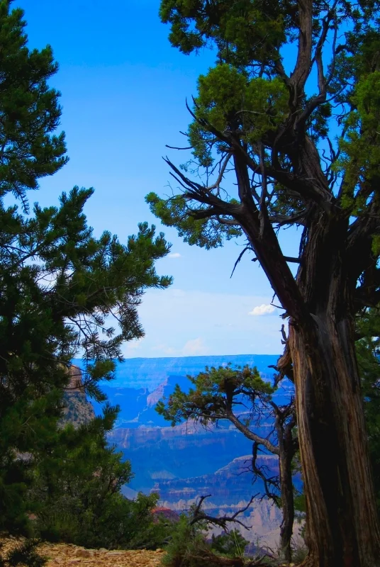 "Grand Canyon: In Between," Photograph, dimensions variable, 2011