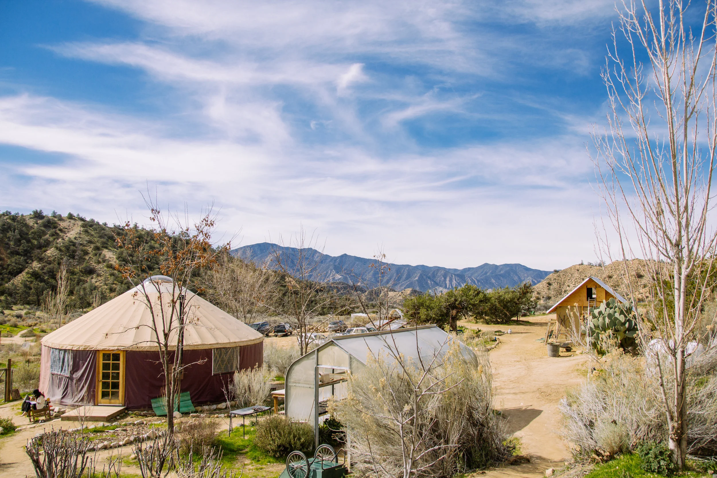 Stewardship and Permaculture at Quail Springs