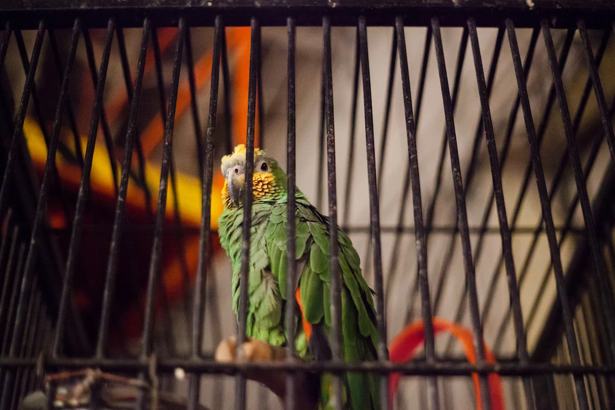 20161211_wesley_kimler_studio_MG_4239.jpg