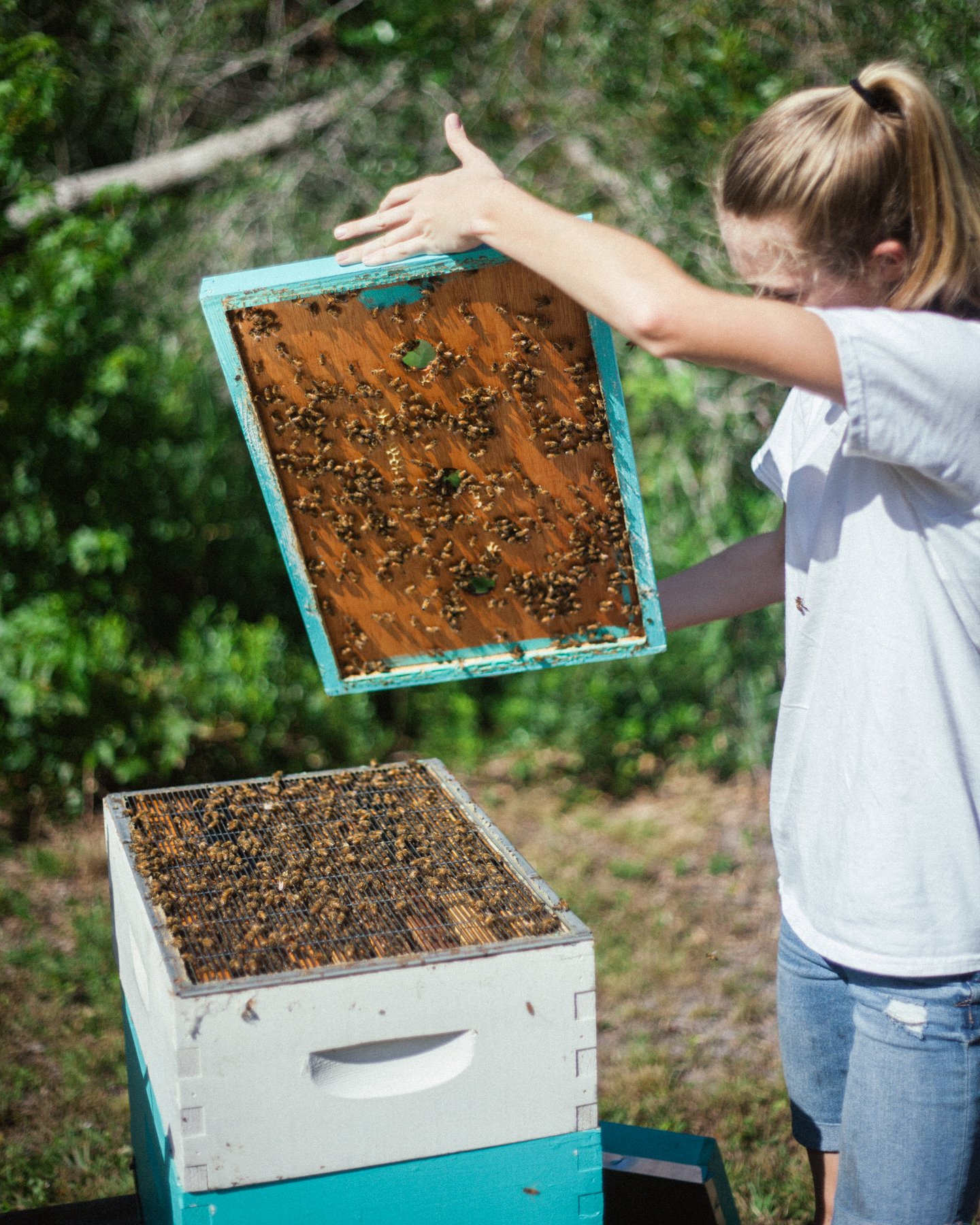  Rylee has been keeping bees since she was five.   “When my dad’s dad was little, he did bees, so they were just always around. My dad showed me through it all, and I kept with it. He’s still involved and every now and then my brother will help.” 