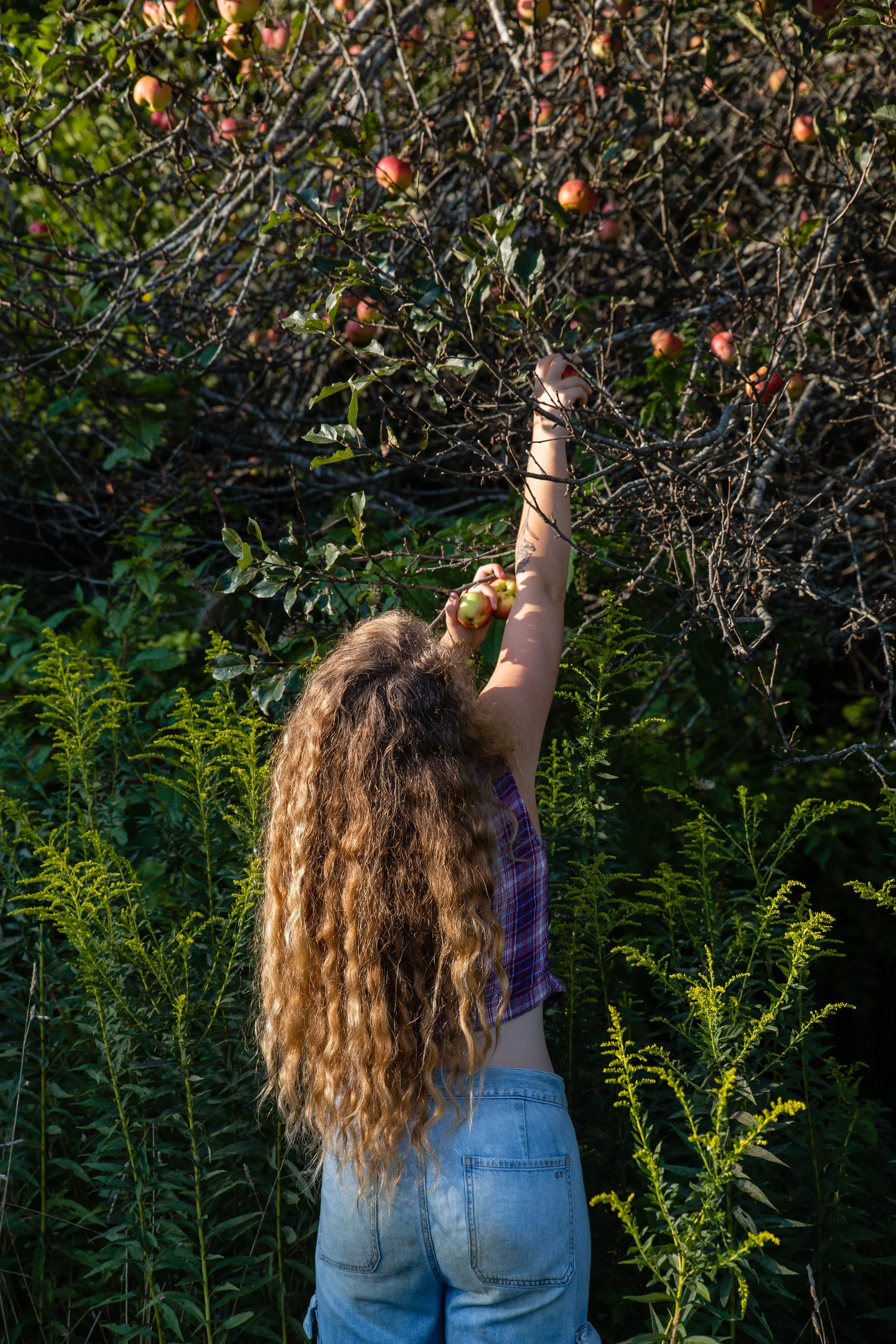 rita-kovtun-asheville-portrait-photographer-104.jpg