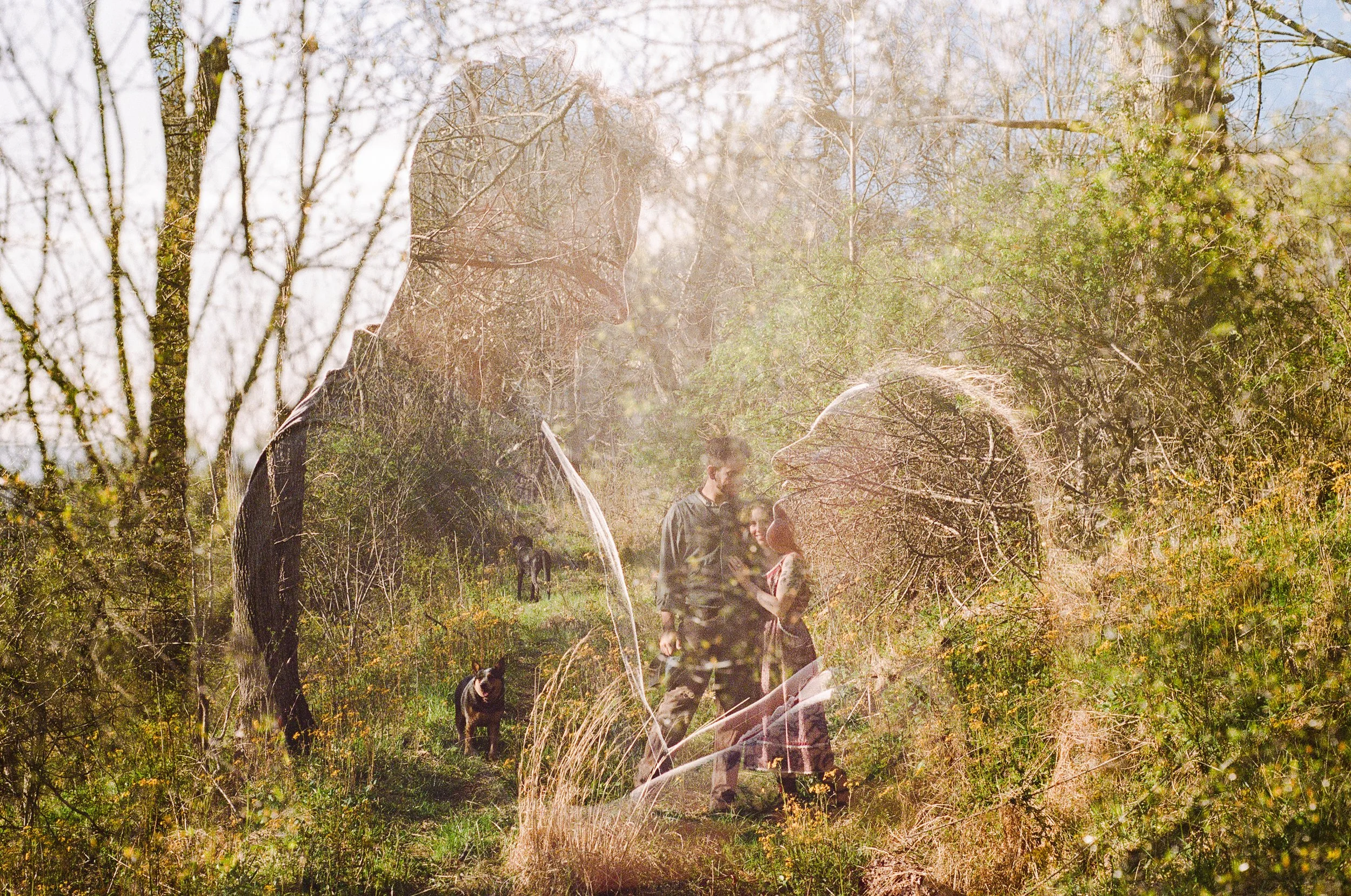 rita-kovtun-asheville-family-engagement-couples-photographer-16.jpg