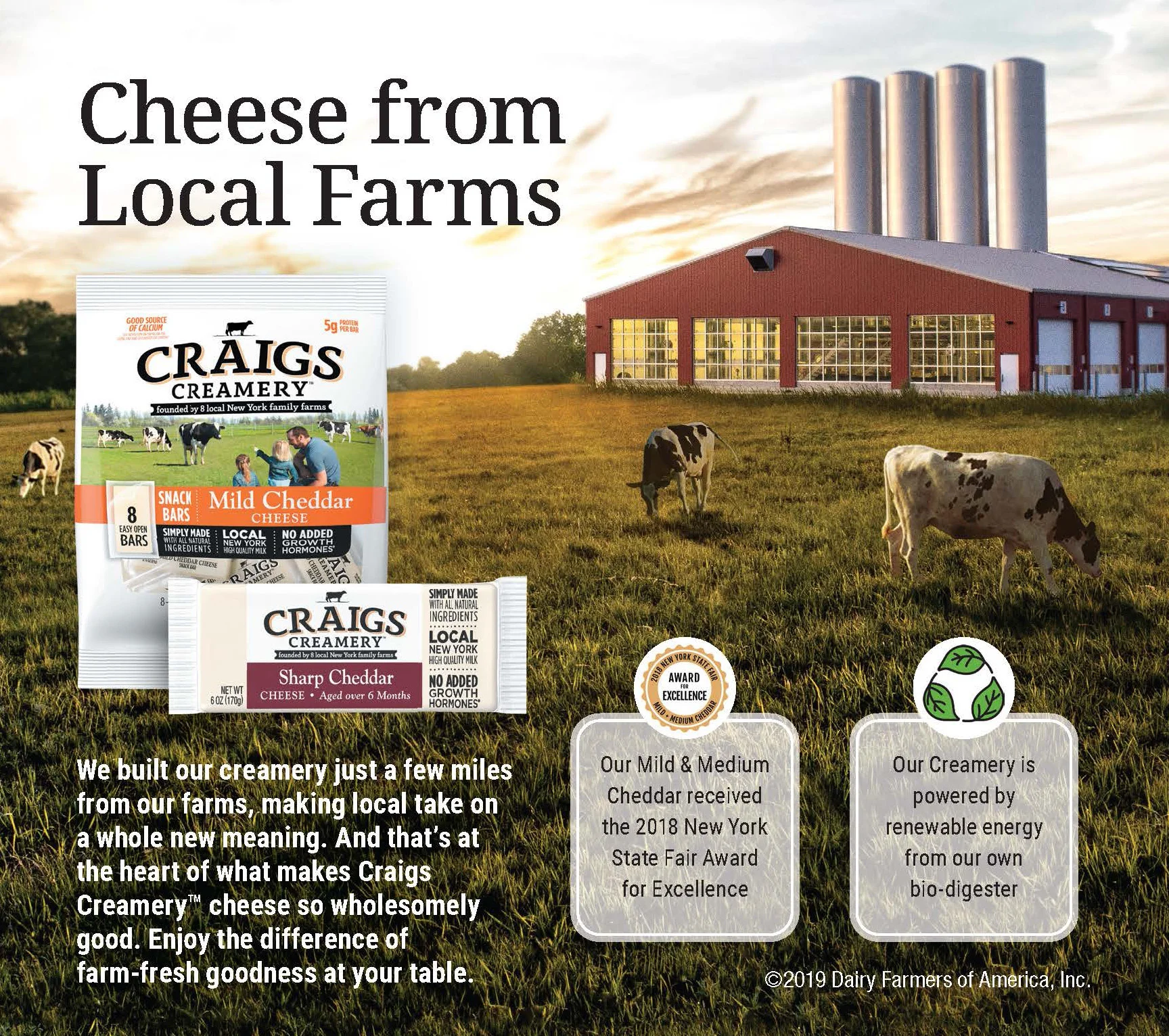Craigs Creamery Ads