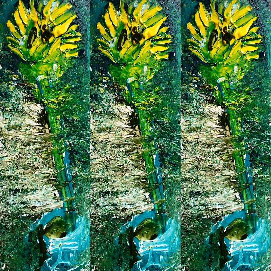 14380084_10154781901446756_2935389171985472226_o.jpg