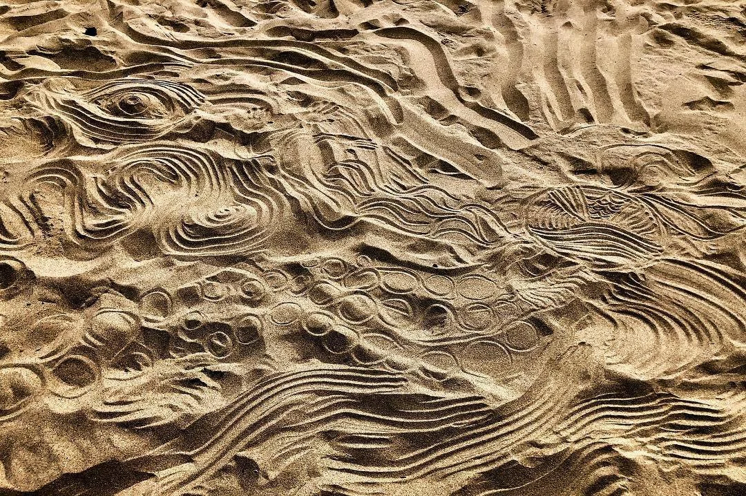 40684716_10157250072431756_8575237763668901888_o.jpg