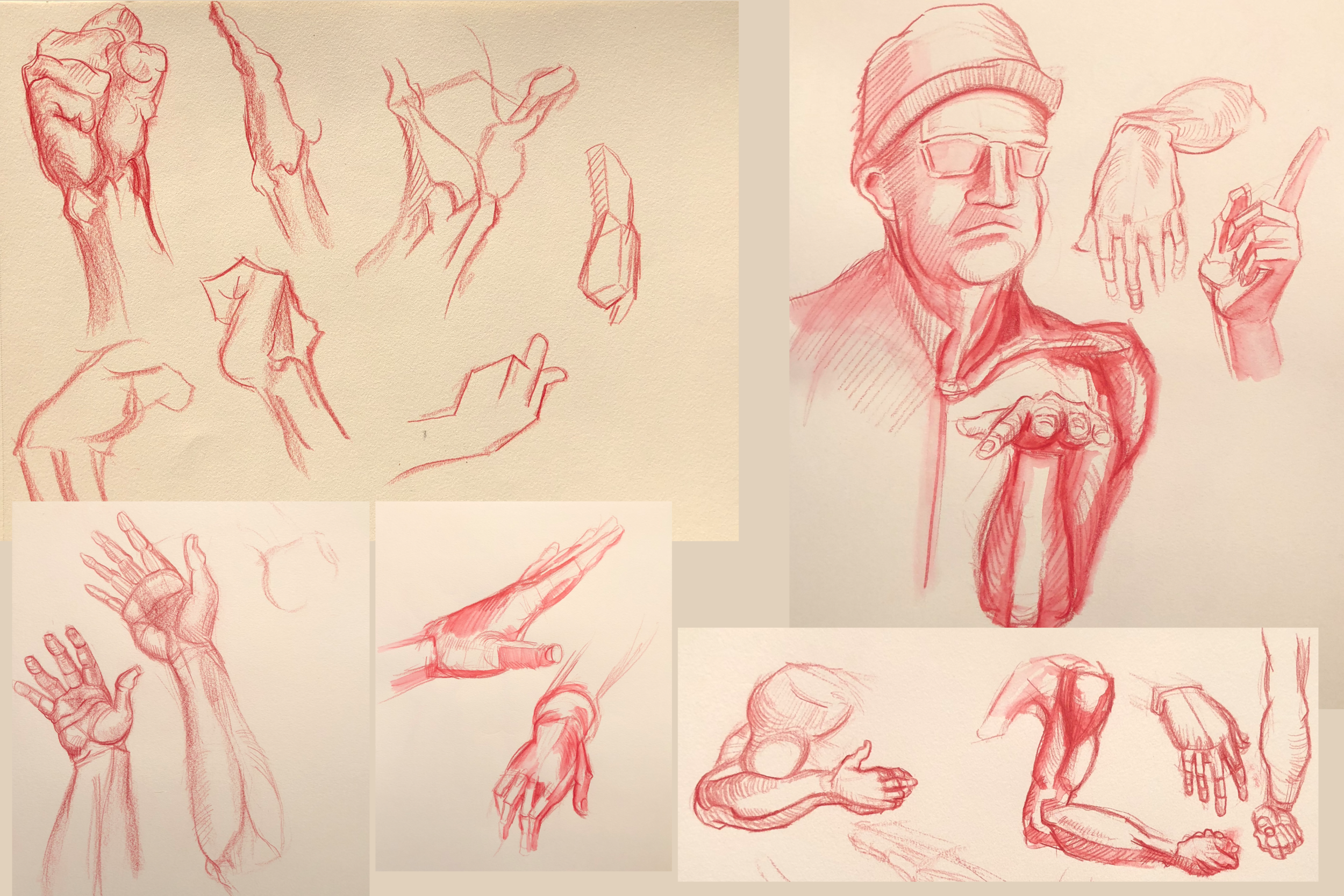 anatomy_week9_russellfoltzsmith.jpg