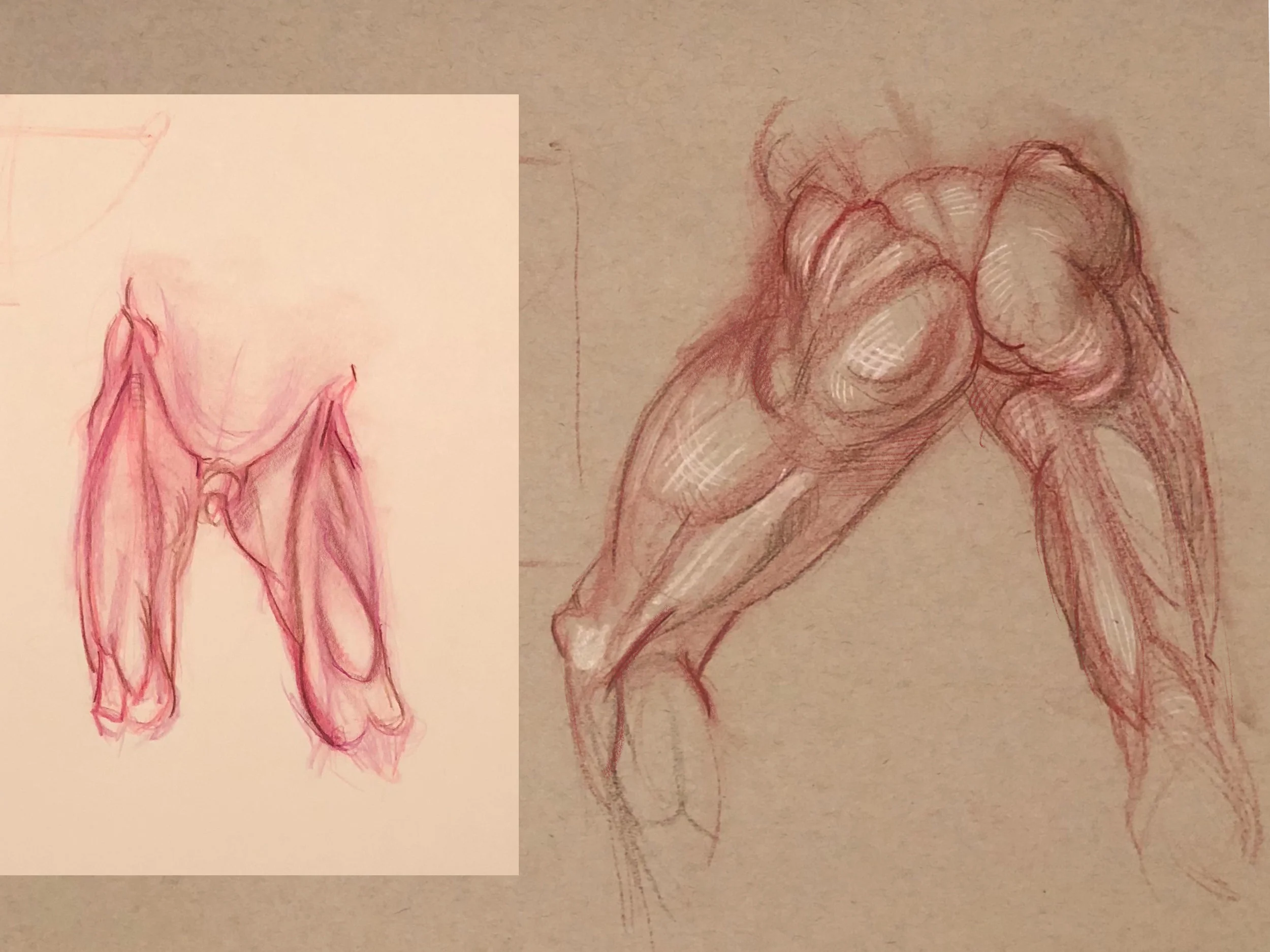 anatomy_week5_orig_russellfoltzsmith.jpg