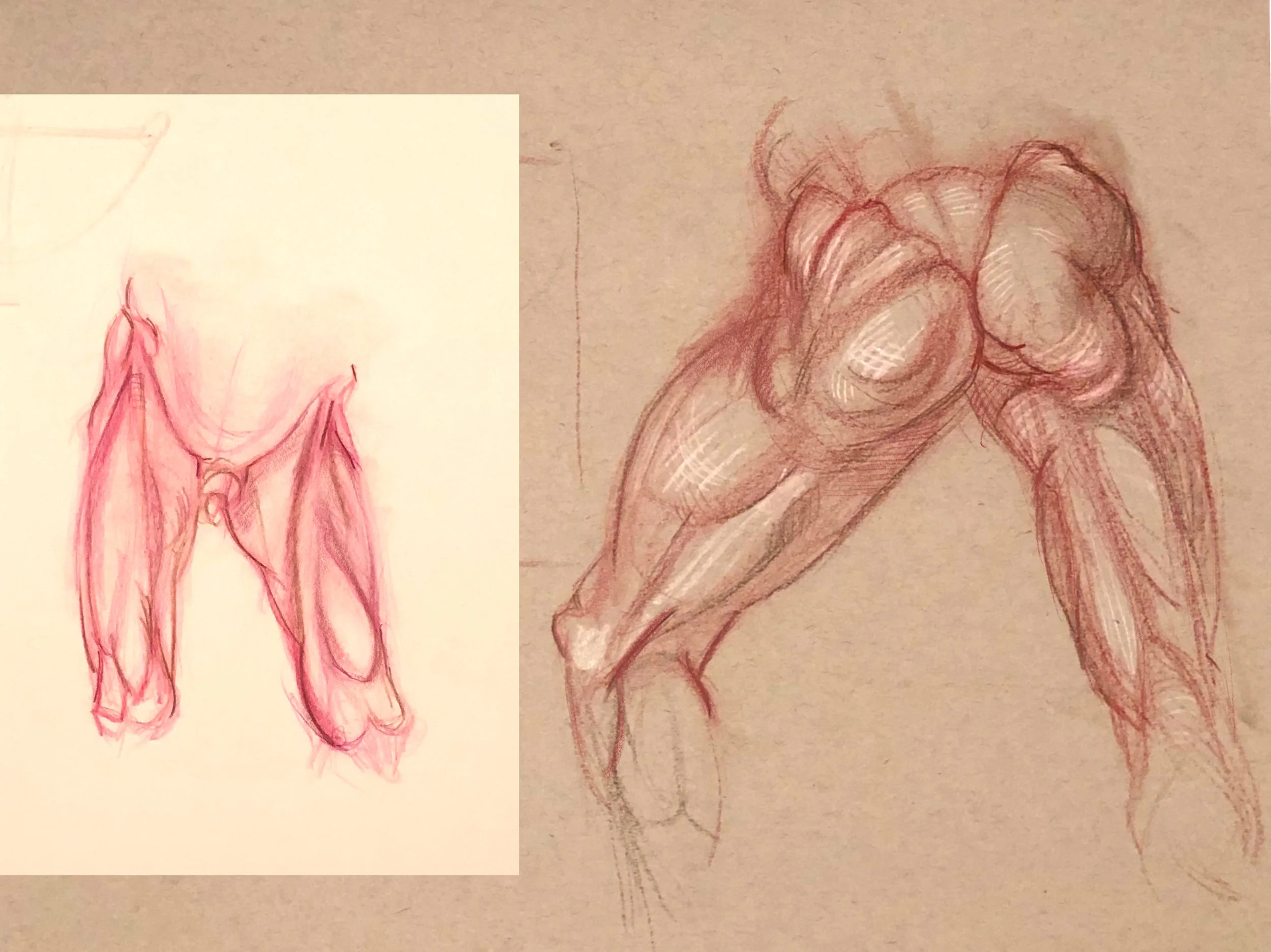 anatomy_week5_russellfoltzsmith.jpg