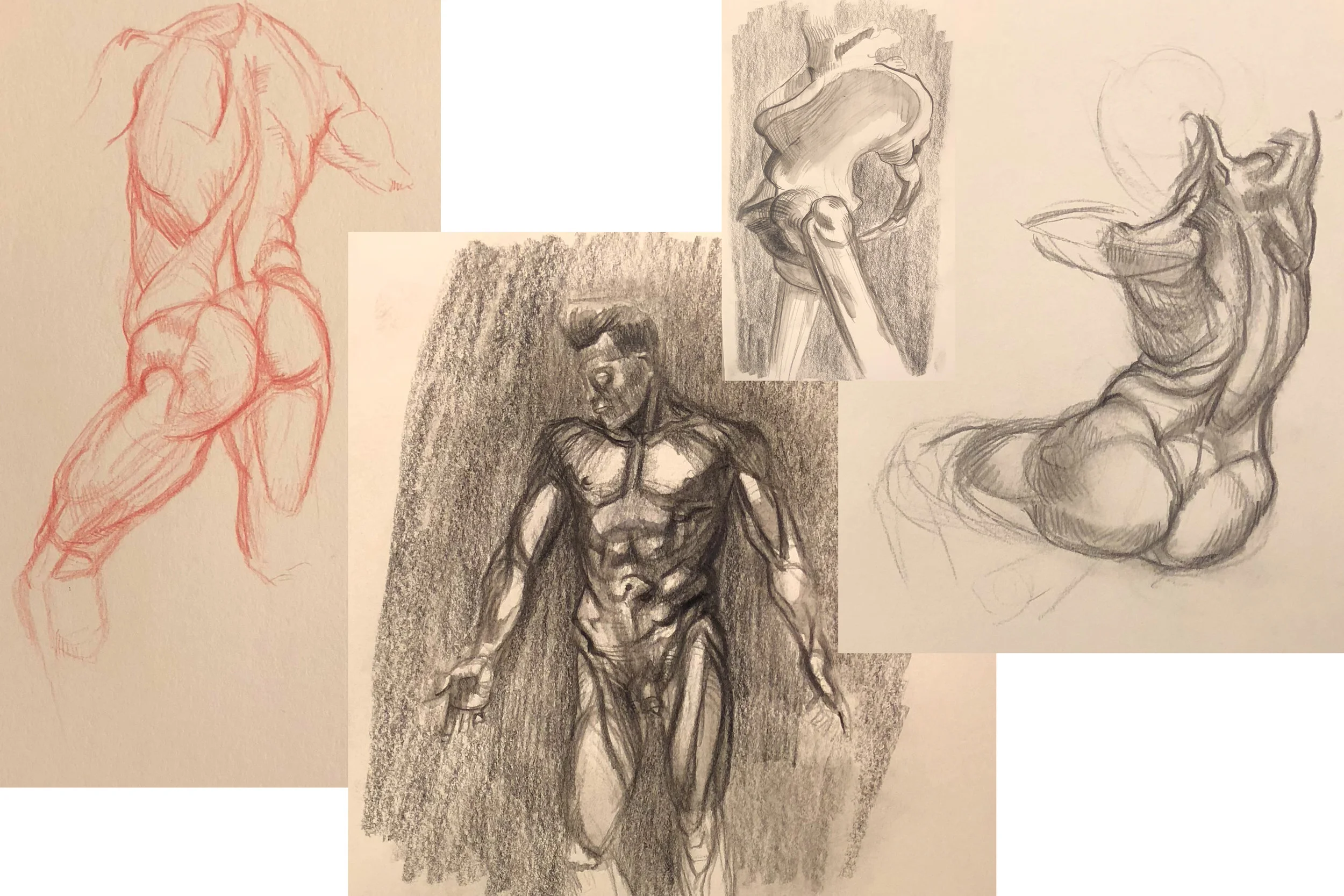 anatomy_week4_russellfoltzsmith.jpg