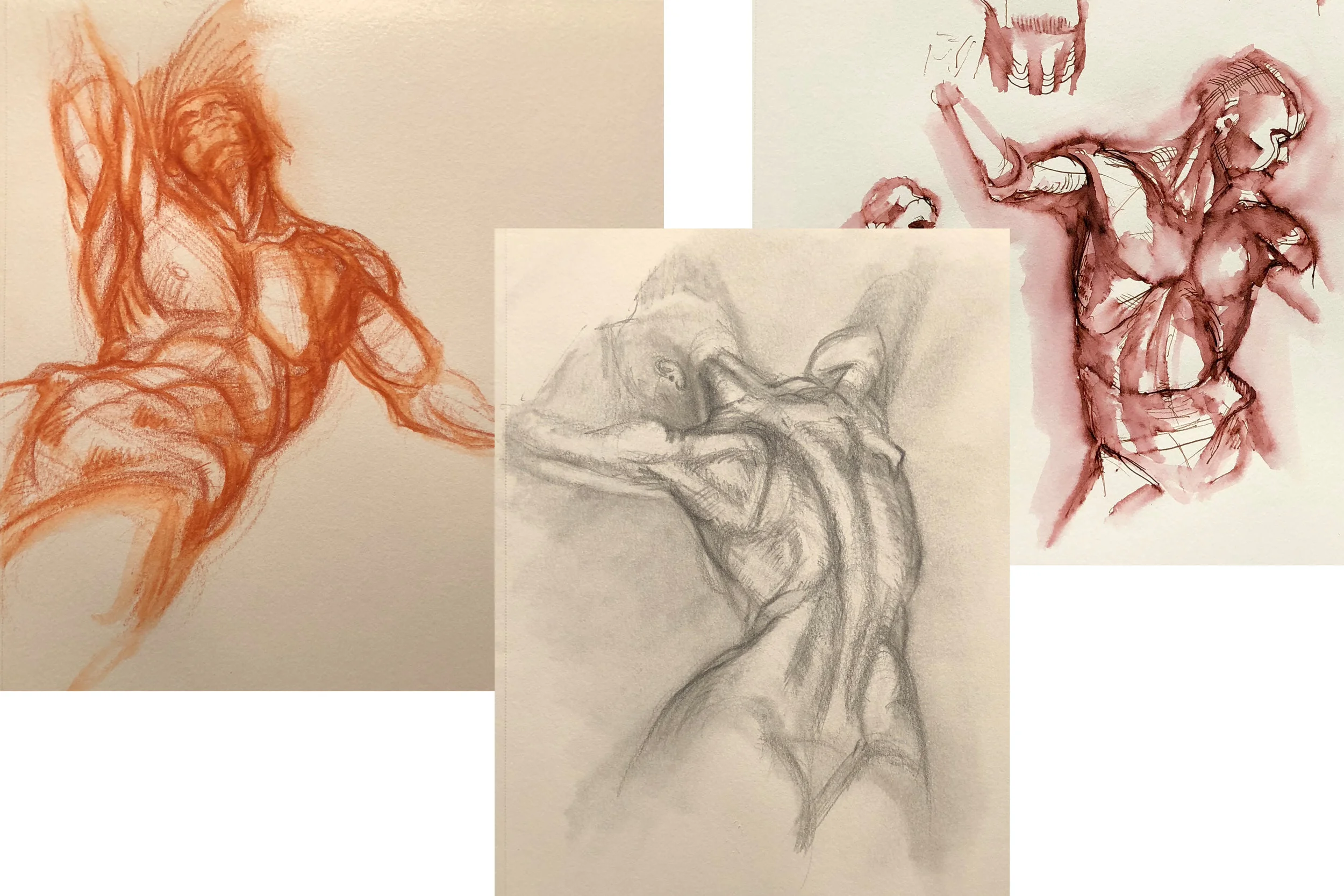 anatomy_week3_russellfoltzsmith.jpg