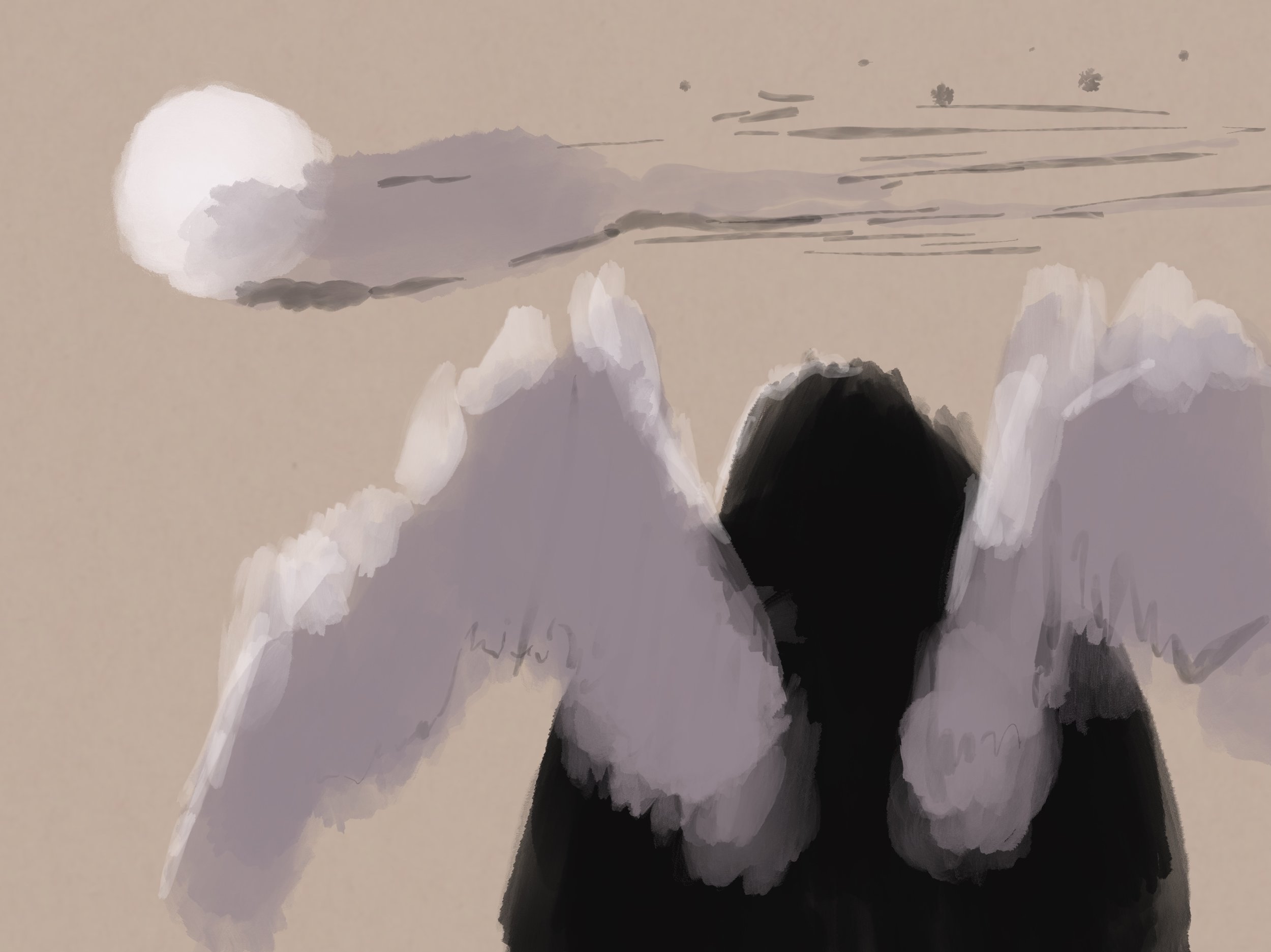 fullsizeoutput_3256.jpeg