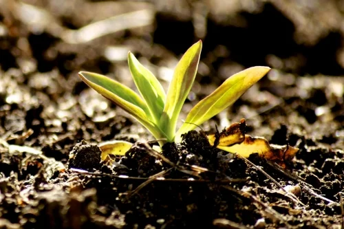 How I define the soul of entrepreneurs: you change the world (part 3 of 3)
